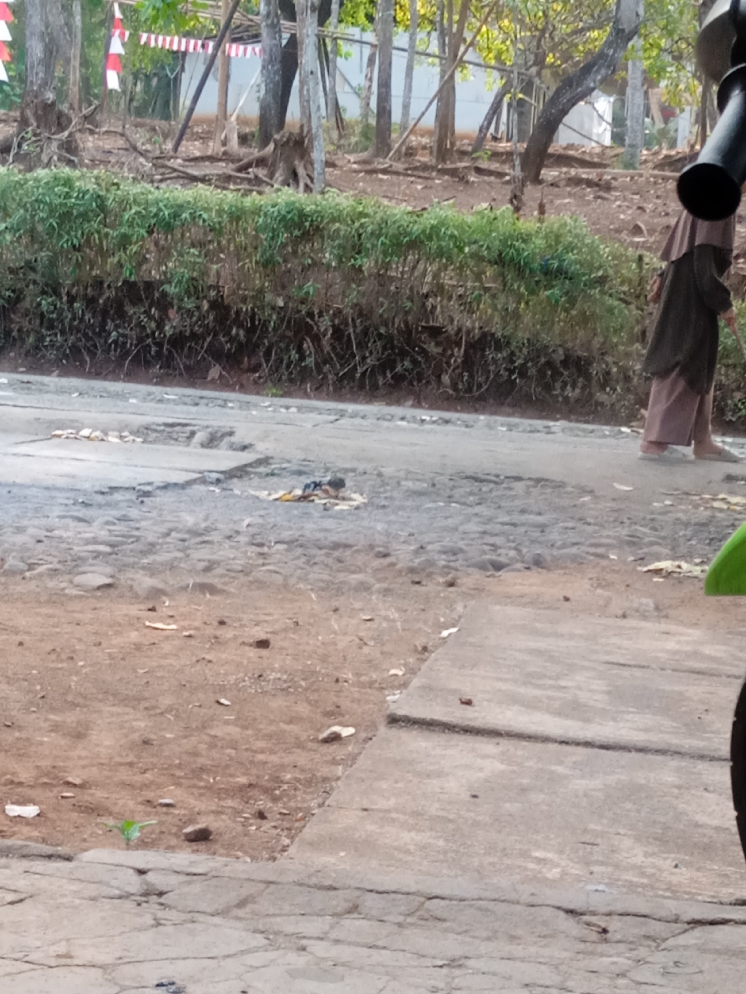 The image shows a rural road in Jatisrono, Indonesia. A person wearing a brown headscarf and a brown outer garment is walking away from the camera, towards the right side of the frame. They are wearing light-colored pants and white shoes. The road surface is uneven, with patches of cobblestone and asphalt. There are some scattered pieces of debris on the road, including what appears to be food scraps. Behind the road, there is a dense hedge of green foliage. In the background, trees are visible, along with some wooden structures and what appear to be Indonesian flags strung between them. The ground in the foreground is dirt and cracked concrete. A portion of a green object, possibly a vehicle, is visible in the lower right corner of the frame.