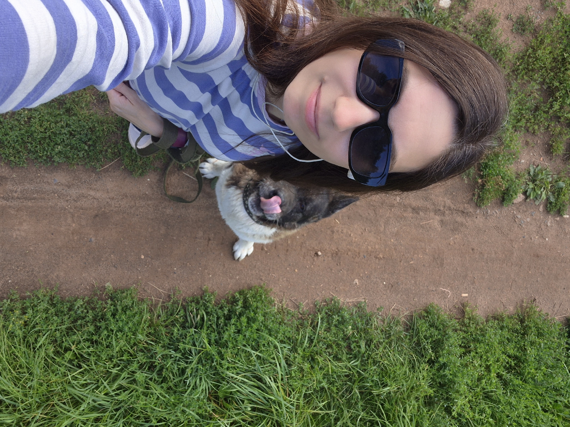 A woman wearing black sunglasses and a blue and white striped shirt takes a selfie outdoors. She is on a dirt path with green grass on either side. A dog with brown and white fur and its tongue sticking out is visible behind her. The scene is likely a park or trail in Chaikovsky, Russia, given the natural setting and the presence of a person and dog.