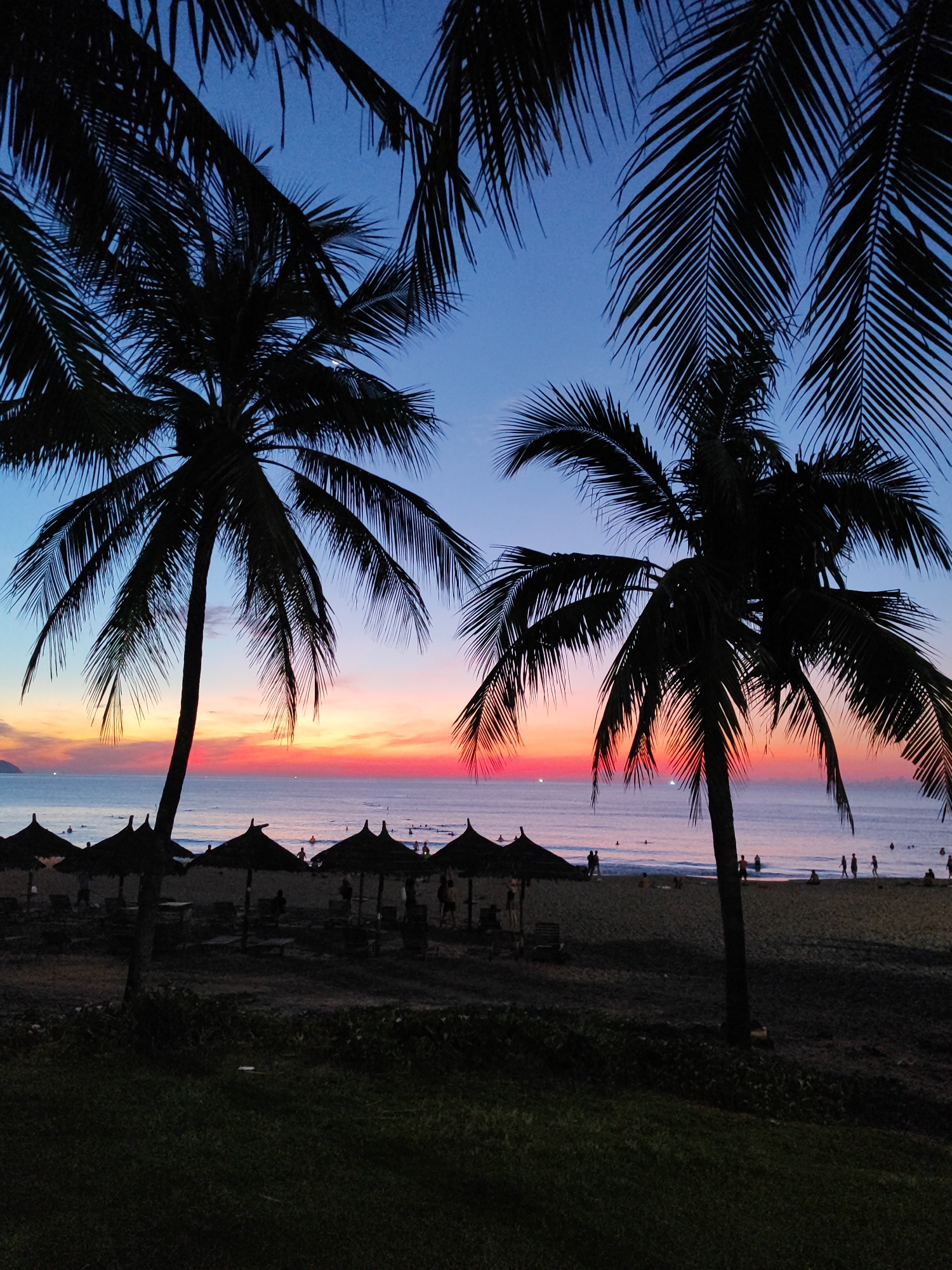 This image captures a twilight scene on a beach in Da Nang, Vietnam. The sky displays a gradient of colors, transitioning from a deep blue at the top to vibrant hues of orange and pink near the horizon, indicating either sunrise or sunset. Silhouetted against this colorful sky are several palm trees with their fronds framing the upper portion of the image.
In the mid-ground, a sandy beach is visible with rows of straw-thatched umbrellas and lounge chairs, suggesting a resort or public beach area. A calm ocean stretches out to the horizon, with gentle waves lapping the shore. Several people are present on the beach and in the shallow water, engaged in activities like swimming and walking. Their figures are largely indistinct due to the low light conditions.
The foreground is dominated by dark, shadowy vegetation, possibly grass and bushes, adding a sense of depth to the composition. The overall atmosphere is serene and picturesque, highlighting the natural beauty of a tropical beach at dusk.
