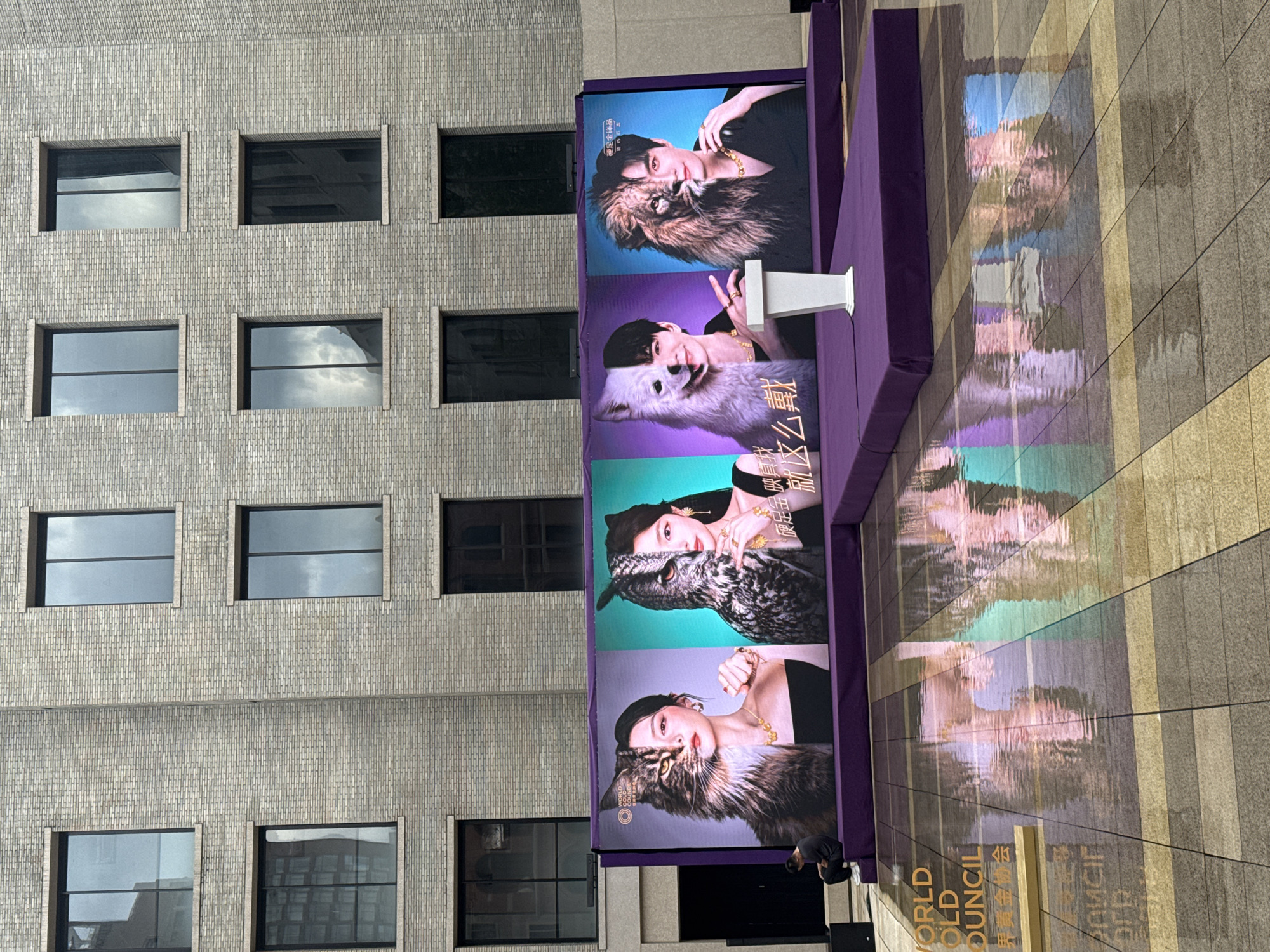 This image depicts an outdoor promotional event in Shanghai, China. In the background, a modern building with a brick facade and numerous windows is visible. The foreground features a large digital screen displaying four distinct images. Each image is a split portrait, combining a human face with the face of an animal. The first image shows a woman merged with a cat, the second a woman with an owl, the third a man with a dog, and the fourth a man with a lion. A purple platform with a white podium is set up in front of the screen. The ground in front of the platform is wet and reflective, mirroring the images on the screen. Text in English and Chinese is visible on the ground to the left, indicating "WORLD OLD COUNCIL" and "界黄金协会". A person is seated on the edge of the platform on the left side of the image.