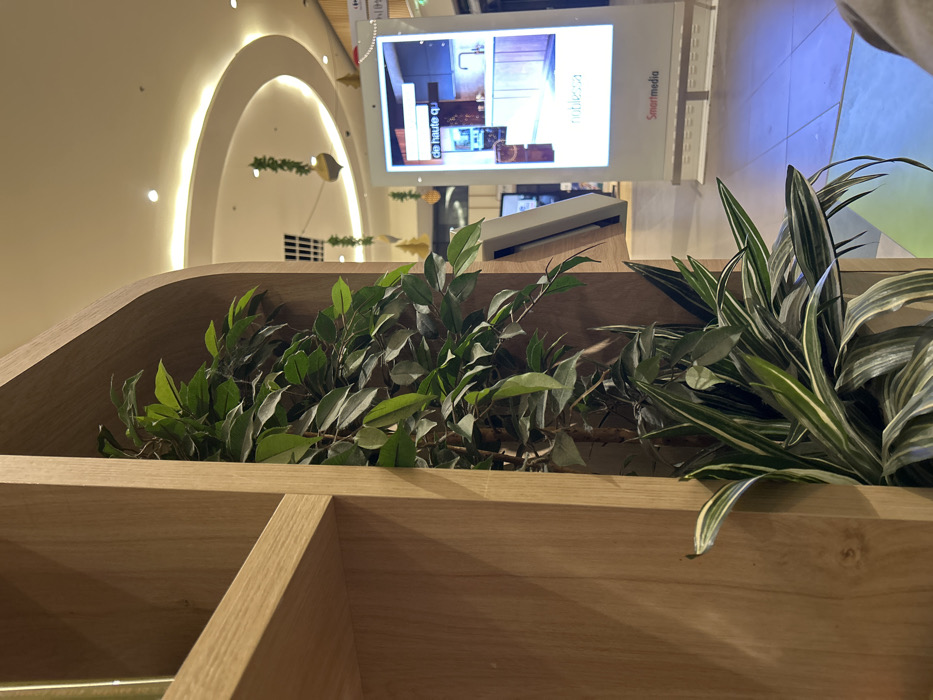 A wooden planter box displays two types of plants. One, a leafy green with small, pointed leaves, fills the left side. To the right, a plant with elongated, striped leaves arcs outward. Behind the box, a digital screen displays images under the "Smartmedia" brand, positioned in a brightly lit area. The curved ceiling and hanging decorations suggest the setting is likely within a mall or public space.