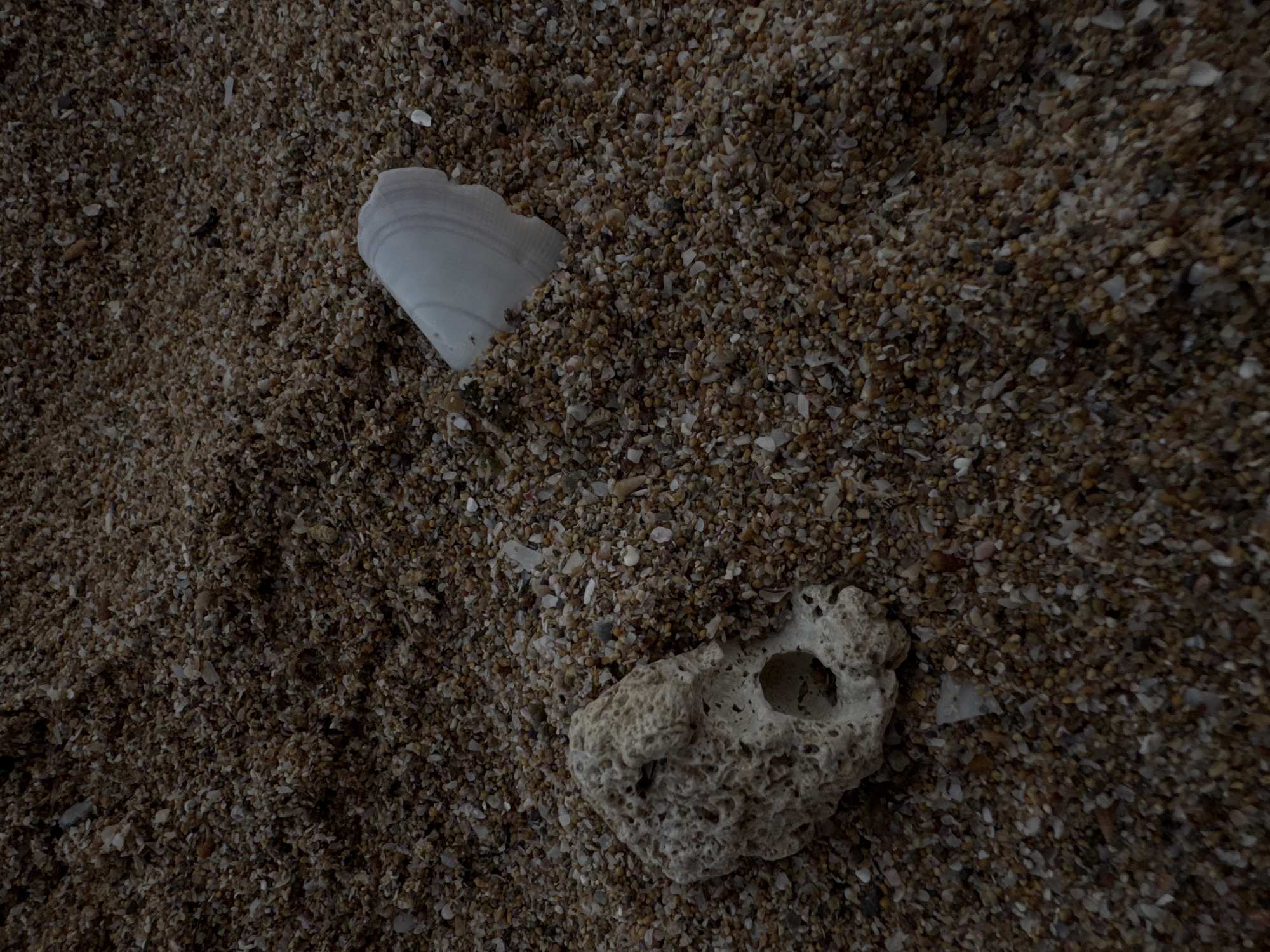 The image shows a section of sand with shell and coral fragments, likely on a beach. The sand is composed of small, mixed-colored pebbles. A partially buried white seashell is visible on the left side, and a porous piece of coral is located in the lower right. The lighting appears dim and diffuse, suggesting an overcast or shadowed area. The location is unspecified, but the prompt suggests it may be near Yevpatoriya, Ukraine.