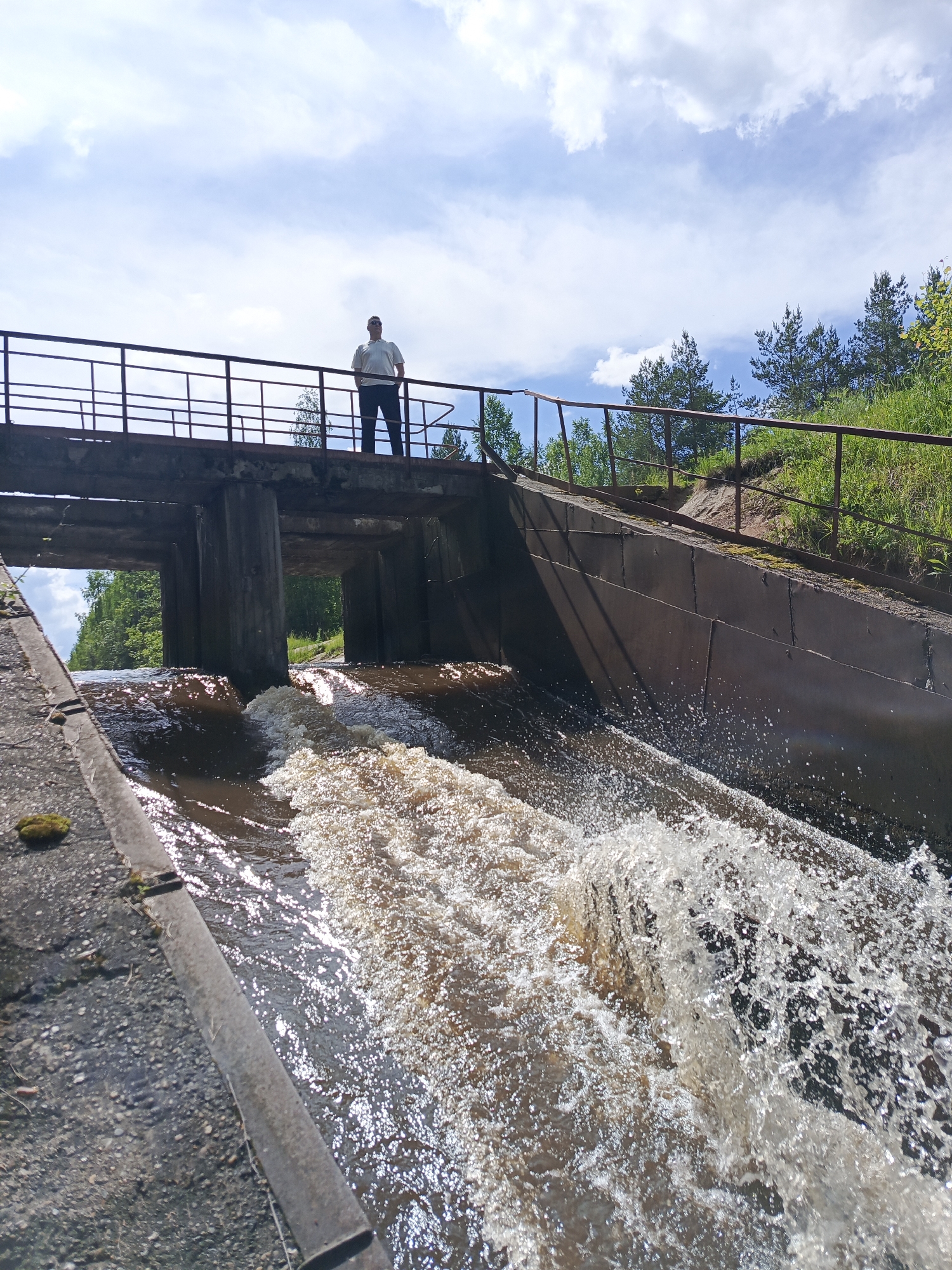 An outdoor, slightly low-angle shot captures a man standing on a concrete bridge with rusty metal railings, observing the fast-flowing water below. The man, seen from the waist up, wears a light-colored polo shirt, dark pants, and sunglasses, with his hands in his pockets. He stands roughly in the center of the bridge.
Below the bridge, a substantial volume of brown water cascades through a man-made channel, creating significant white splashes and foamy turbulence. Sunlight reflects brightly off the agitated water. The bridge itself is supported by concrete pillars, and its structure incorporates concrete walls that form part of the water channel's banks. On the right side, the concrete wall extends upwards, following the contour of a grassy bank dotted with pine trees. Another bank with greenery and trees is visible in the background on the left.
The sky above is partly cloudy with patches of clear blue. The overall impression is one of a constructed water management system (possibly a small dam or spillway) set within a natural, wooded environment on a bright, clear day. No visible text is present.
