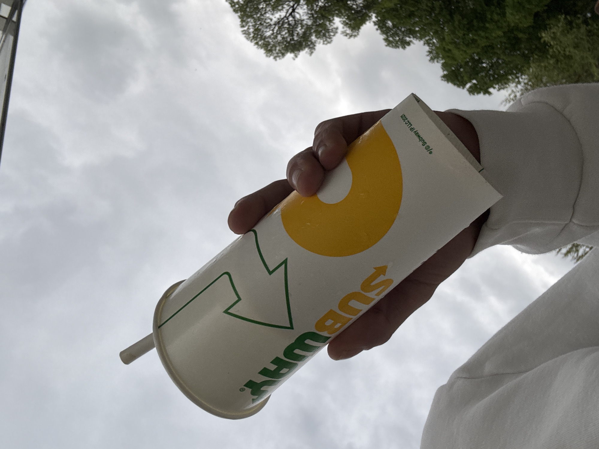 An outdoor, low-angle shot features a person's right hand holding a white Subway drink cup against an overcast sky, with the foliage of trees partially visible at the upper right. The hand holds the cup from the side, with fingers visible. A white straw protrudes from the cup's lid.
The Subway cup is prominently displayed, featuring the brand's iconic logo: the word "SUBWAY" in green, with a stylized "S" and "Y" that include green arrows. A large yellow semi-circle design is also visible on the cup. Near the top rim, small text reads "© Subway IP LLC 2021". The person is wearing a white long-sleeved garment, possibly a sweatshirt or hoodie, visible on the right side of the frame.
The sky is a uniform light grey, indicating cloudy or overcast weather during the daytime. The trees, with their green leaves, suggest a natural or urban park setting in Plovdiv, Bulgaria. The perspective is looking upwards, making the hand and cup appear against the expansive sky and distant treetops.