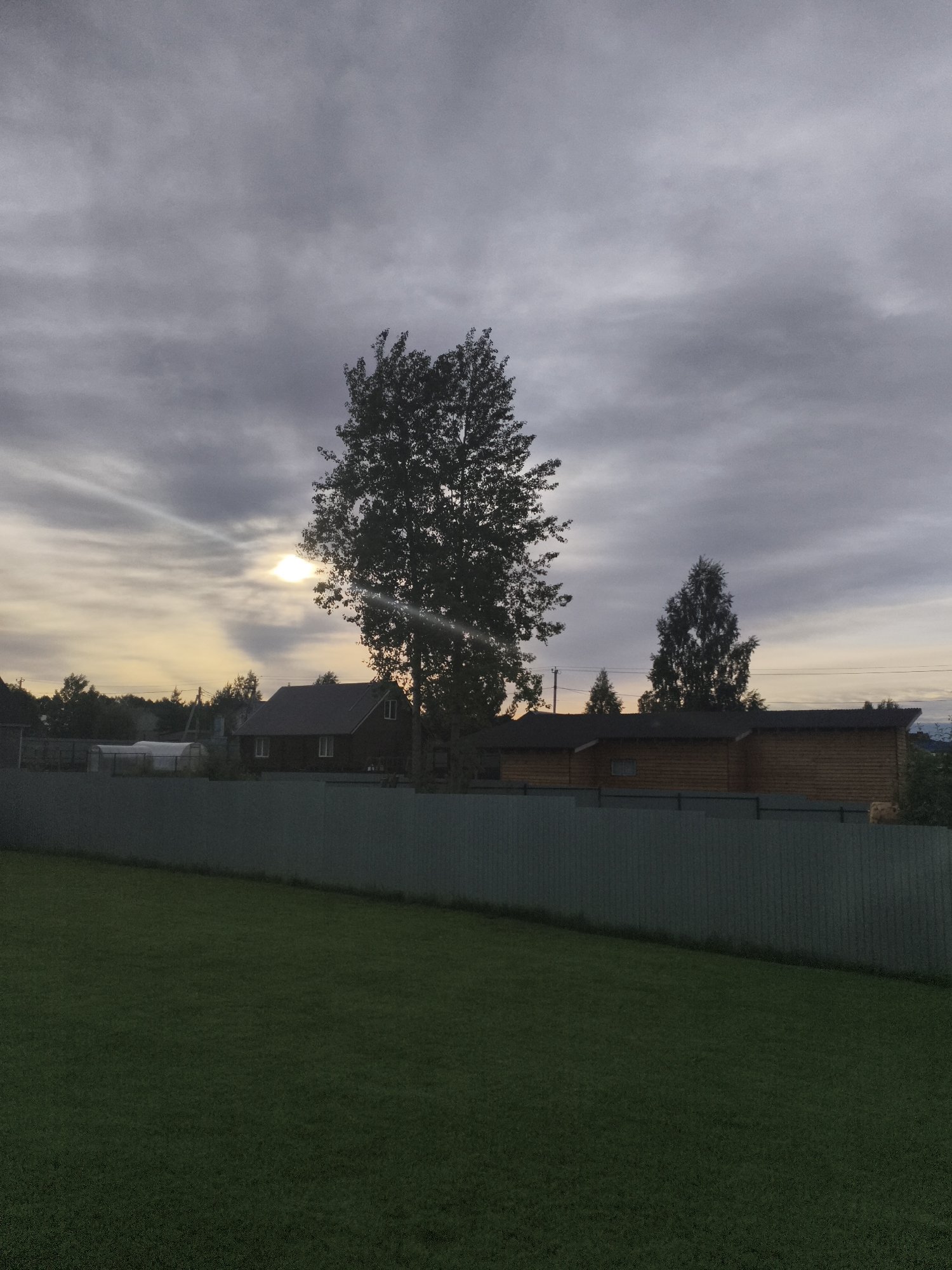 The image presents an outdoor scene in Русский Вожой, Russia. A well-maintained green lawn dominates the foreground, bordered by a grey fence. Behind the fence, a single large tree stands prominently in the center, partially obscuring the setting sun which casts rays through the cloudy sky. A wooden building with a dark roof is visible behind the tree. In the background, smaller trees and a glimpse of the landscape are seen. The sky is overcast with grey clouds, suggesting either dusk or dawn. No people or animals are visible in the frame.