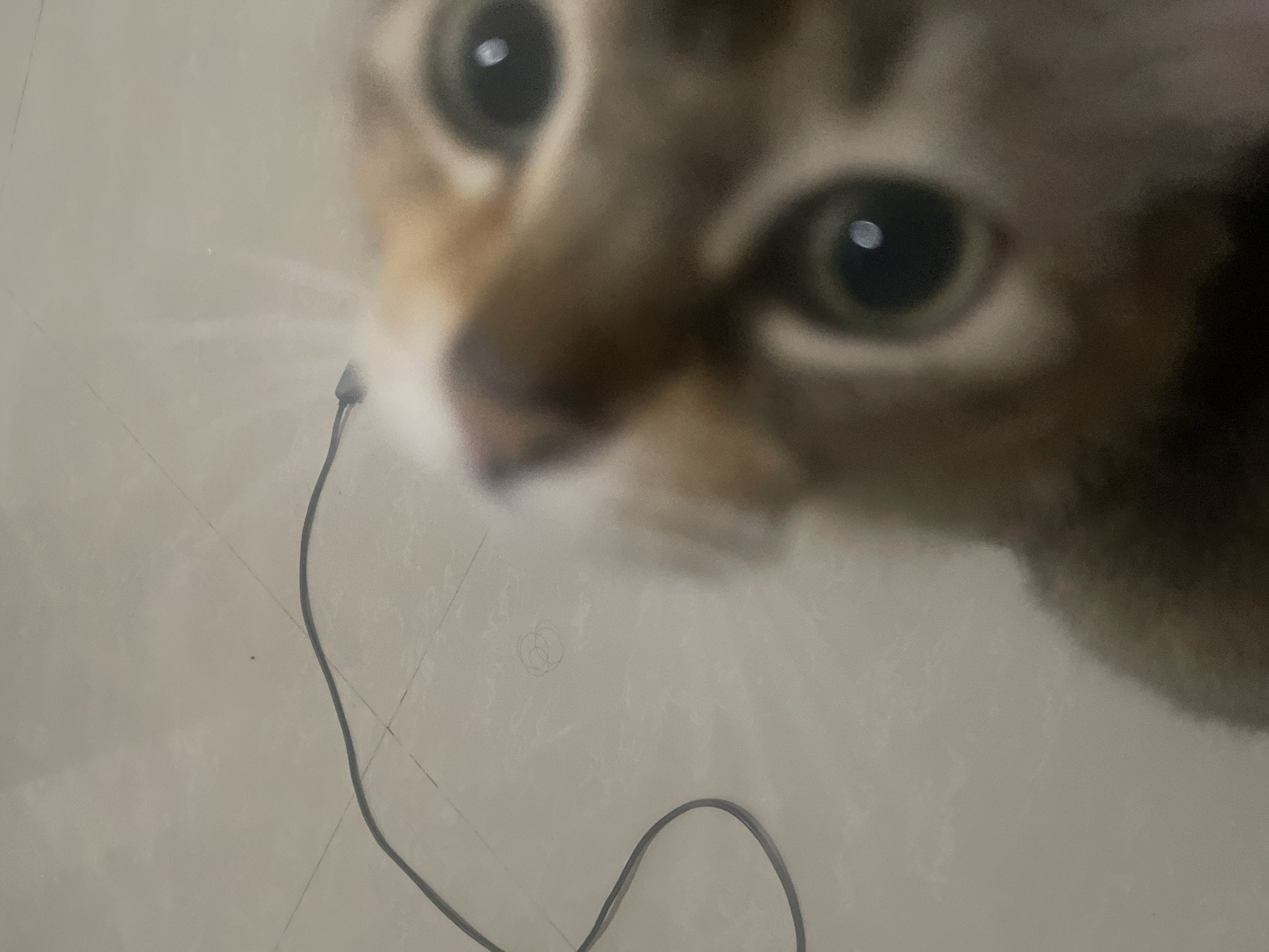 The image, taken in an unknown location, features a close-up, blurry shot of a cat's face. The cat's eyes are wide and appear to be looking directly at the camera. A black cord lies on the tiled floor in the background. The lighting suggests an indoor environment, possibly a home.