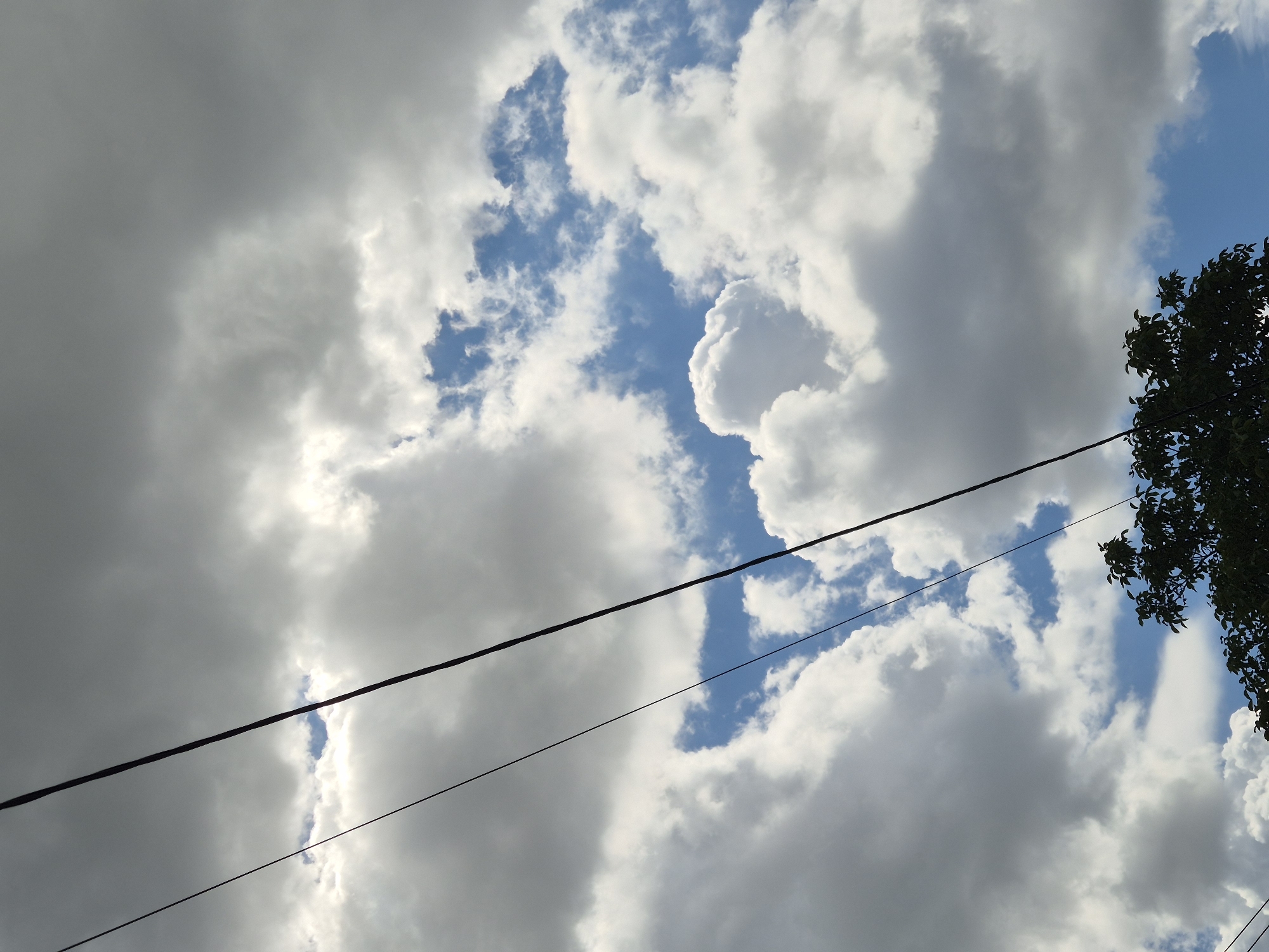 The image is a low-angle shot of a sky filled with clouds, with two power lines stretching diagonally across the frame. The clouds are a mix of dark gray and bright white, suggesting an overcast or partly cloudy day. Patches of blue sky are visible between the clouds. At the bottom of the image, the dark silhouette of the top of a tree with green leaves is visible, with its branches reaching upwards towards the sky. The scene is devoid of any people or overt actions. The image appears to have been taken outdoors in an urban or suburban environment, likely in Sozonivka, Ukraine, given the presence of power lines and a tree.