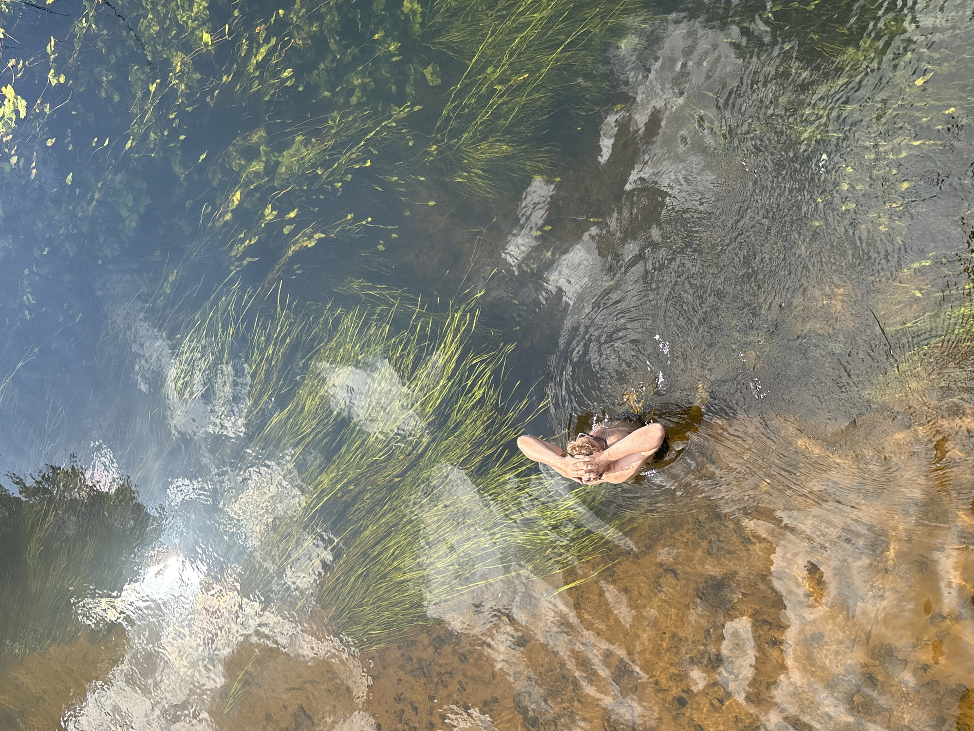 A person is submerged in shallow, clear water, with only their head and arms visible. The person is facing away from the camera, with their hands clasped in front of their face. The water is a murky brown on the left side of the image and becomes darker and greener on the right, with visible aquatic plants swaying beneath the surface. Reflections of the sky and surrounding trees are visible on the water's surface. The location is the river in the village of Daymishche, Russia.