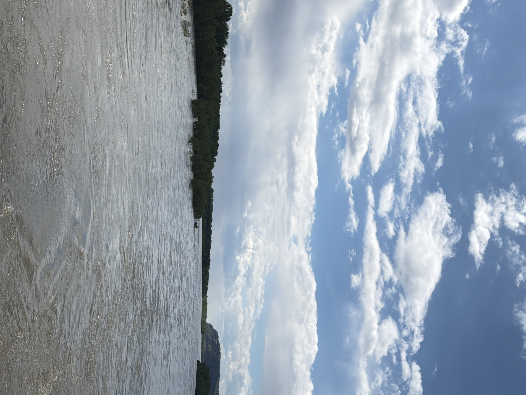 The image depicts a river scene in Kuragino, Russia. The river, occupying roughly half of the frame, appears murky and reflects sunlight. A dense forest lines the far bank of the river. The sky above is predominantly blue with scattered white clouds of varying sizes and shapes. No people or specific objects are discernible.