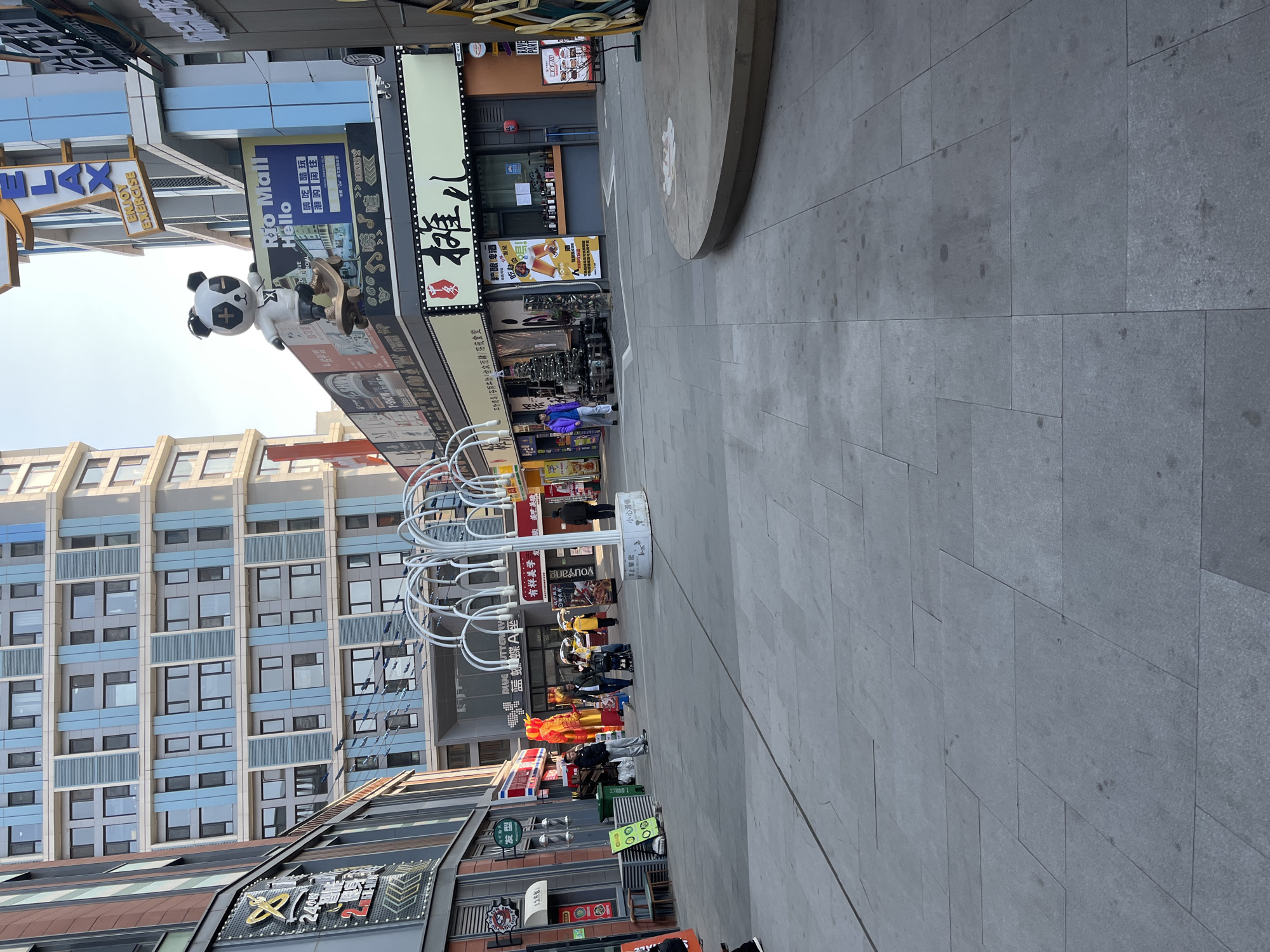 The image depicts a wide pedestrian commercial plaza within Changchun City, China, identified by prominent "Rio Mall Hello" signage and adjacent to a building labeled "Blue Butterfly 蓝蝴蝶 A座". The plaza is paved with large, irregularly cut grey rectangular tiles, some showing minor stains.
Multi-story commercial buildings line both sides of the plaza. The building on the left features a brown and reddish facade with a "24h" sign. The building on the right displays a modern blue and grey panelled facade with numerous rectangular windows. Above the storefronts on the right, a large, stylized panda mascot figure wearing a white hoodie and shorts stands on a skateboard, positioned above "Rio Mall Hello" and "RELAX" signs.
Approximately ten individuals are present in the plaza. In the mid-ground on the left, a group of three people, one pushing a stroller, is observed near a large, red and gold inflatable dragon-like decoration. Another individual in a bright purple jacket walks on the right side of the plaza. All individuals are dressed in casual outerwear, indicative of cool weather.
Key objects include a distinctive white, multi-arched, tree-like sculptural element in the center-left of the plaza, green trash receptacles and benches on the left, and a low, circular stage-like platform on the far right. Storefronts feature various Chinese and some English signage, along with outdoor merchandise displays. A decorated Christmas tree is visible in front of a shop on the right. The scene is illuminated by natural sunlight under a clear sky.