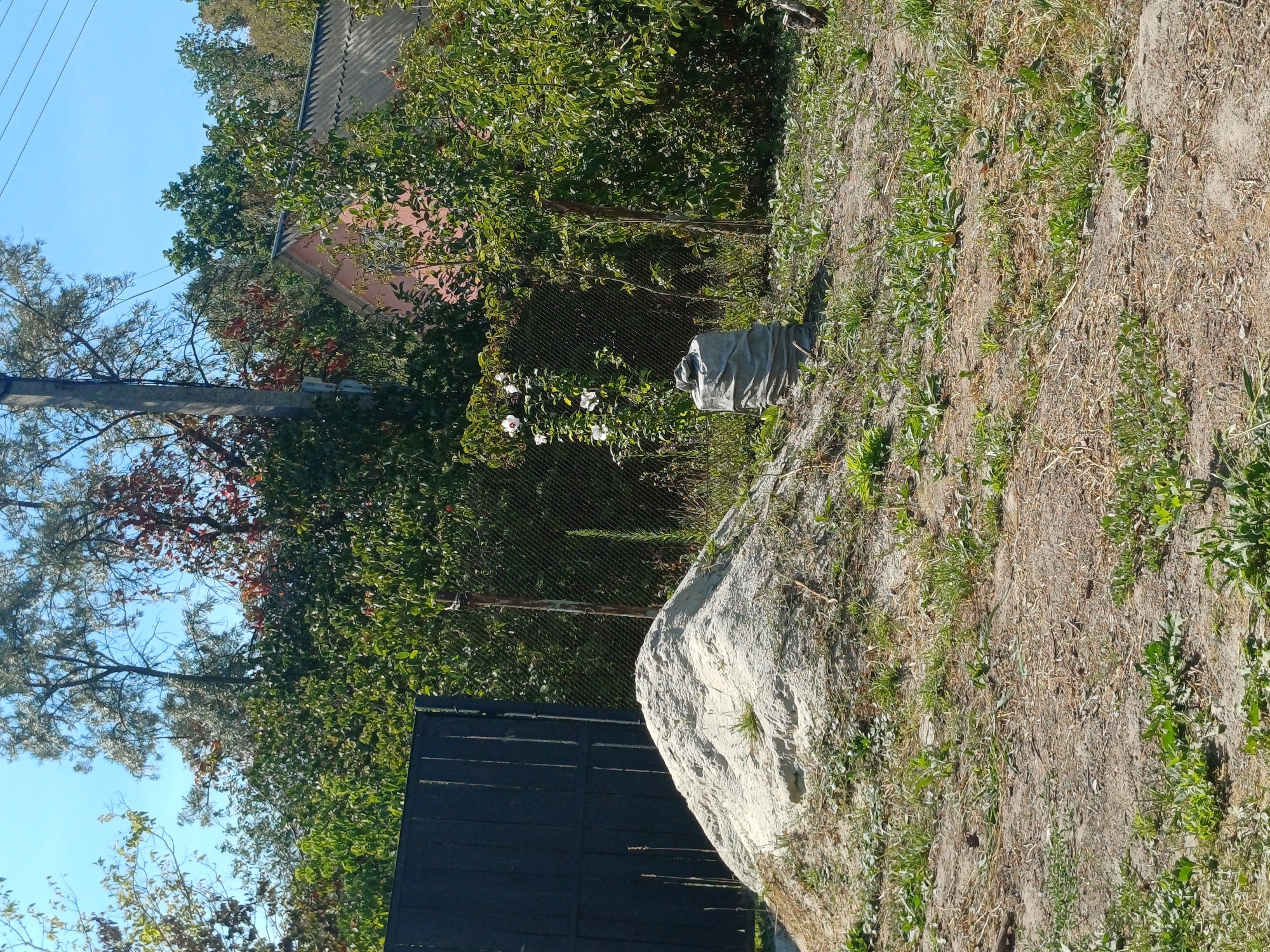The image depicts an outdoor scene in the village of Sulymivka, Ukraine. In the foreground, a large pile of sand is present, with a single grey trash bag positioned to the right of the sand pile. Behind the sand pile, a dark metal gate is visible on the left. A chain-link fence runs across the middle ground, behind which are various trees and vegetation. A pink house and a dark roof are partially visible through the trees. The sky is clear and blue. The ground is covered in dirt, dry grass, and scattered green plants. There are no people visible in the image.