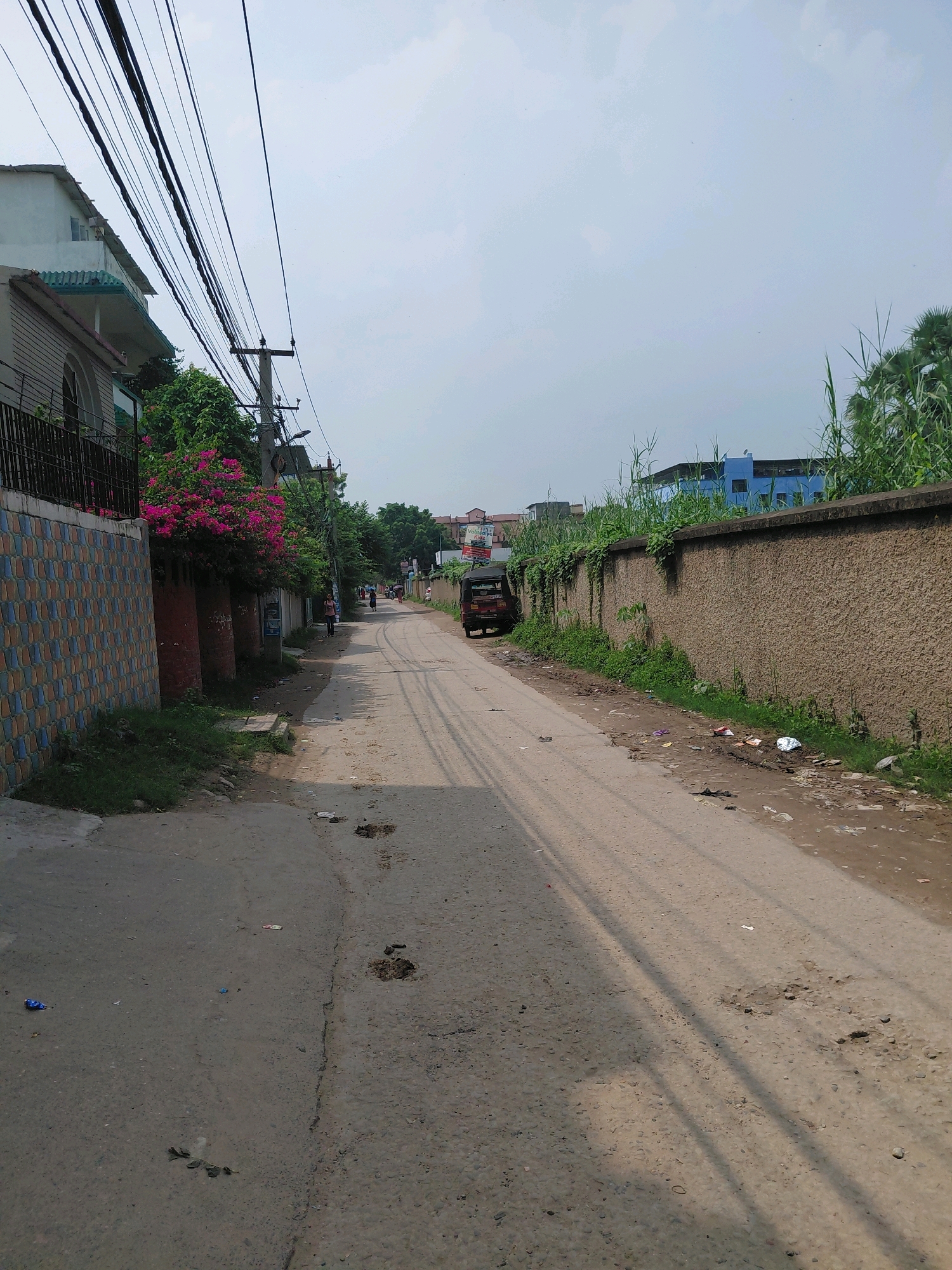 The image depicts a street scene in Patna, India, characterized by a narrow paved road with visible patches and debris. On the left, a multi-story building with a patterned tiled wall and a balcony is partially visible, bordered by greenery and a flowering bougainvillea plant. A power pole with numerous overhead wires stands prominently along the roadside.
Further down the street, a small auto-rickshaw is parked on the right. The road is lined with a textured concrete wall on the right, partially covered with vines and foliage. The environment appears somewhat neglected, with scattered litter along the roadside and on the street. In the distance, other buildings and trees are visible under an overcast sky. Several people are walking on the street, some appearing to be moving away from the camera. The overall impression is of a typical urban or suburban street in India, with elements of residential buildings, infrastructure, and local transportation.