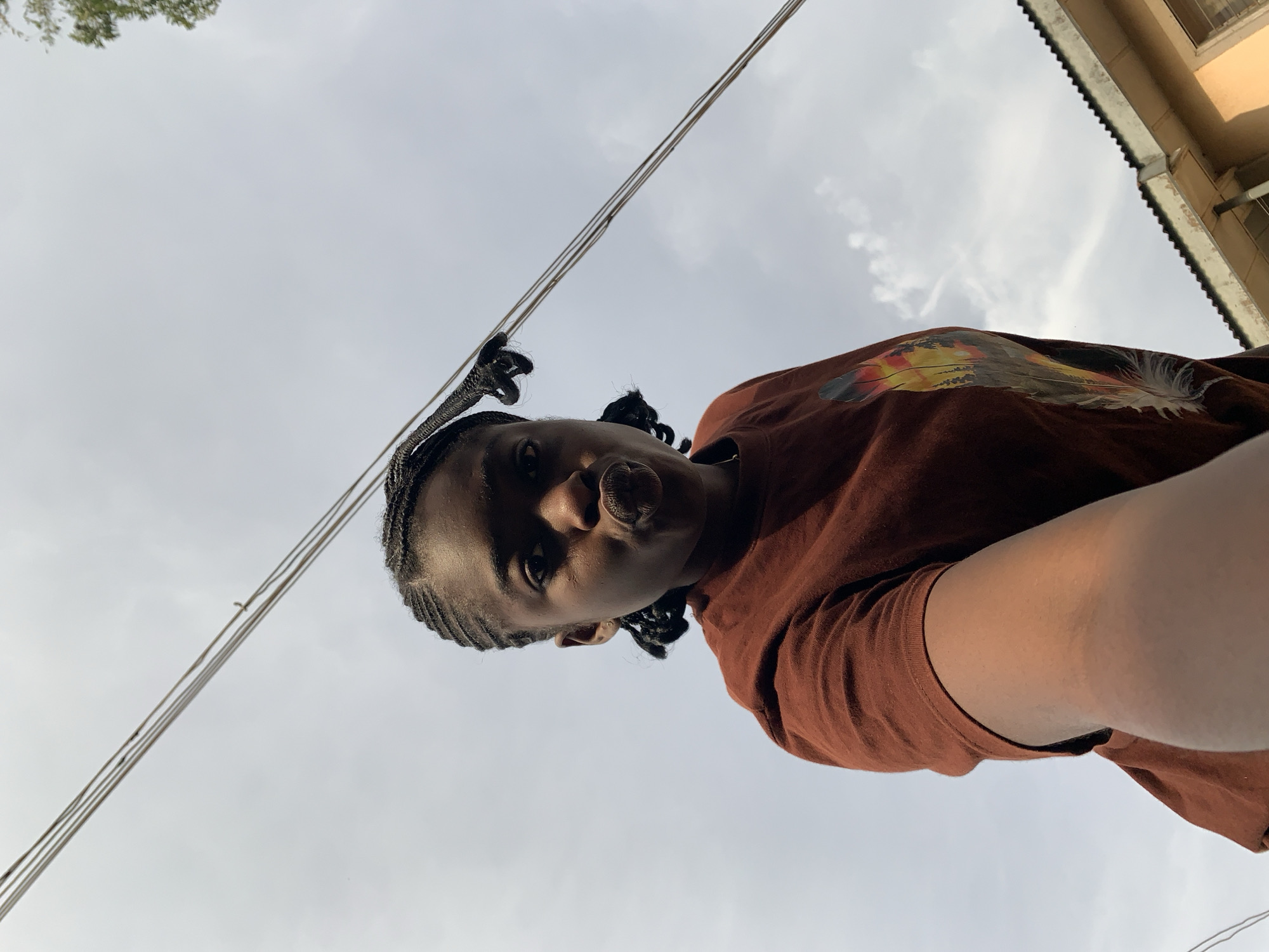 A low-angle, medium shot captures a young Black woman with braided hair puckering her lips as she looks at the camera. She is wearing a brown t-shirt with a colorful feather design on the front. The background is a cloudy sky with power lines running diagonally across the frame. To the right of the woman, a portion of a building with a tiled roof is visible. The image appears to have been taken outdoors in a city. Without additional information, the specific location within Rafin Par, Nigeria cannot be determined.