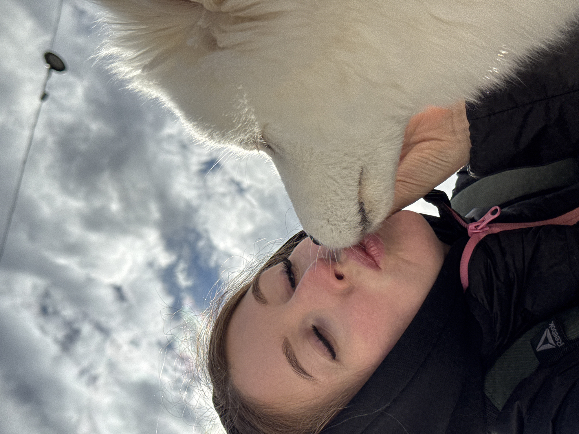 This image captures a close-up, low-angle view of a tender interaction between a person and a white fluffy dog, set against a bright, cloudy sky. The person, appearing to be a young individual with light brown hair, has their eyes closed and lips slightly pursed as the dog's muzzle gently touches their face, likely a kiss or a lick.
The dog, a large breed with dense white fur, is prominently featured, with its fur backlit by what appears to be strong sunlight, creating a glowing effect. The person is wearing a black hooded jacket with a vibrant pink zipper. A "Reebok" logo is visible on a dark green patch on the jacket's sleeve or shoulder area.
The background shows a dynamic sky with white and grey clouds, along with patches of blue. A slender street light with a dark fixture is visible against the sky in the upper left portion of the frame. The bright illumination suggests it is daytime. The moment conveyed is one of deep affection and connection between the person and their canine companion. While the image is provided with the location context of Chaikovsky, Russia, no specific landmarks from that location are identifiable within the frame.