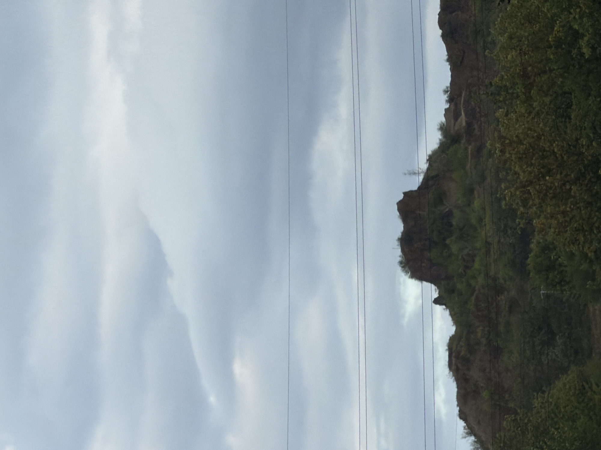 The image shows a rocky, vegetated hilltop under a cloudy sky. There are three horizontal power lines stretched across the frame, in front of the hill. The foreground is filled with the tops of trees. The rocky outcrop at the crest of the hill has some sparse vegetation growing on it. In the distance, the sky is a mix of light and dark grey clouds. The scene appears to be an outdoor landscape. The rock formation on the hill is a prominent feature.
