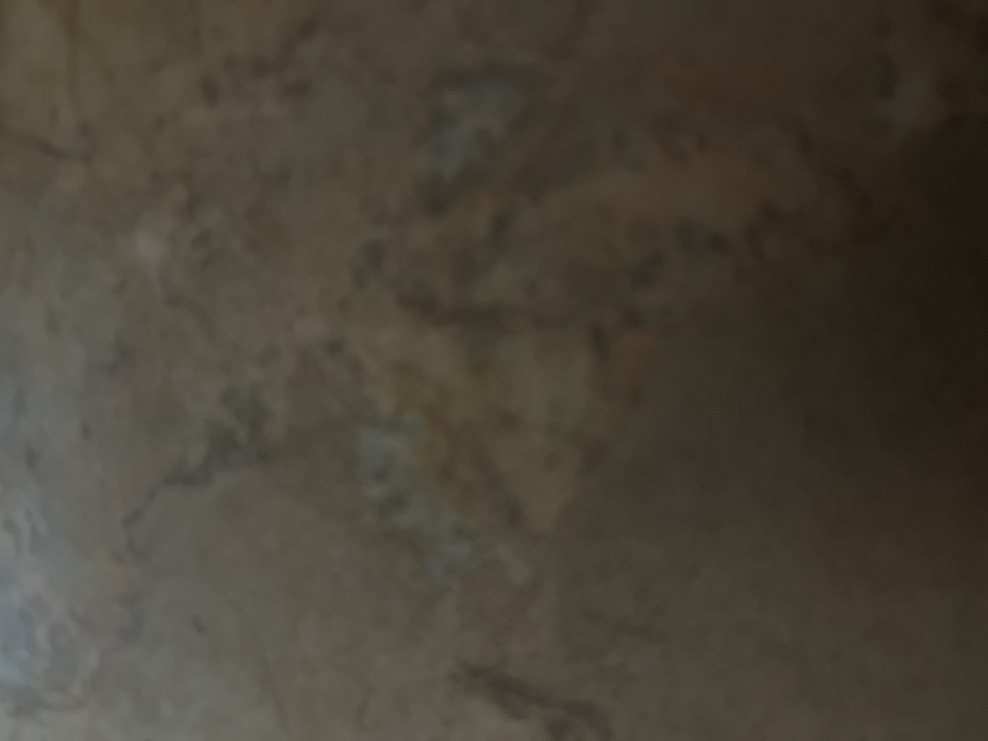 The image is a close-up, abstract shot of a textured surface. The surface appears to be a material with variations in color and pattern, predominantly in shades of brown, beige, and gray. There are darker, irregular markings that could be veins or natural imperfections in the material. Lighter areas, almost white, are also present, scattered across the surface. The texture seems rough and uneven, suggesting it might be stone, wood grain, or a similar natural material. The lighting creates a somber and slightly muted atmosphere, with a shadow or darker area dominating the right side of the frame, gradually fading towards the left. There are no discernible subjects like people or specific objects, nor is there any clear indication of a scene or setting. The image is out of focus, making it difficult to identify precise details or textures. No text is visible.