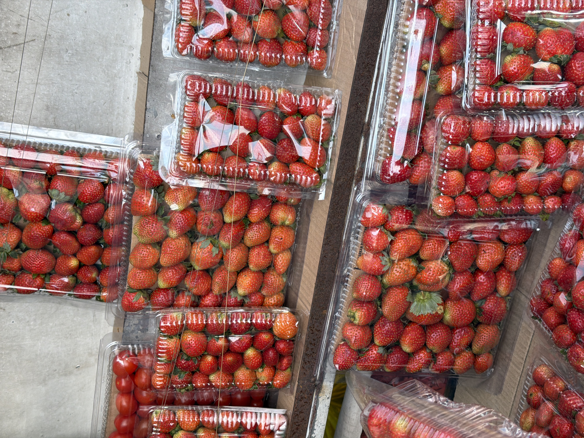 This image captures a display of fresh strawberries and cherry tomatoes for sale at a market stall in Baturiti, Indonesia. The produce is neatly arranged in clear plastic containers, stacked on a rustic metal shelf. The strawberries are predominantly a vibrant red, with some showing hints of green near their stems, and are packed tightly into their containers. The cherry tomatoes are a uniform bright red and are also presented in clear plastic packaging. The background consists of a textured, light-colored wall, possibly concrete or plaster, which provides a neutral backdrop for the colorful fruit. The overall scene suggests a lively market environment where fresh produce is readily available.
