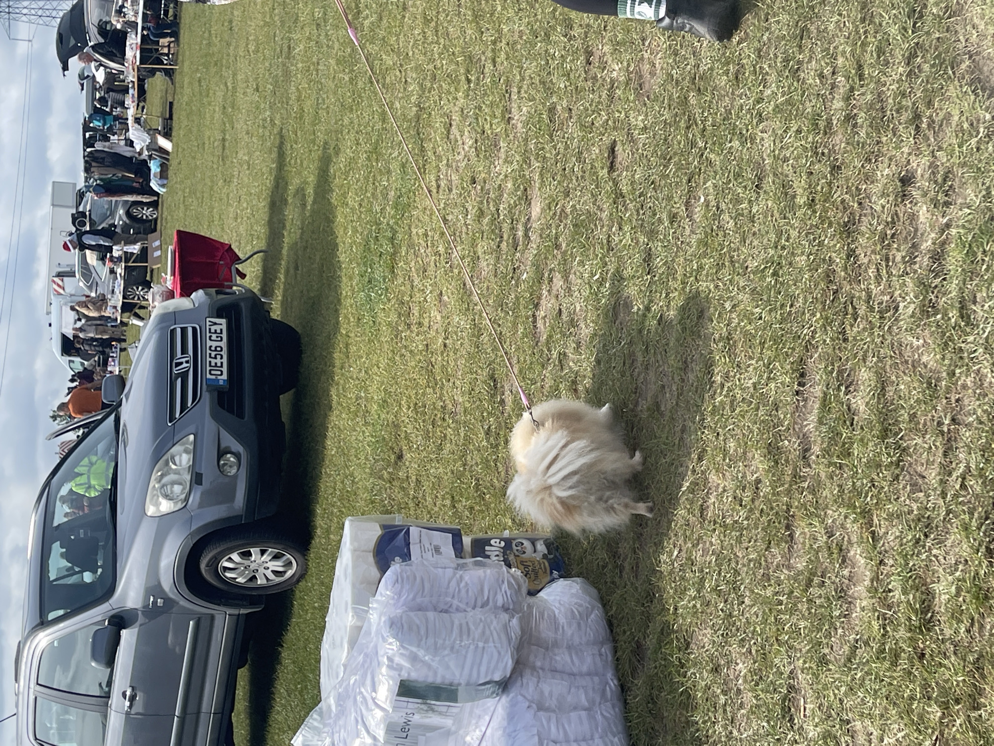 A medium shot depicts a grassy field environment, likely in Sevenoaks, United Kingdom, based on the UK vehicle registration plate. A light-colored, small, fluffy dog is on a leash, partially obscured by white bedding wrapped in clear plastic. To the left is a grey Honda CRV with the license plate "OE56 GEY." The vehicle is parked near a pile of bedding. Further in the background, across the grassy field, is a car boot sale or outdoor market scene, where multiple vendors have set up stalls next to their vehicles. There are a number of figures milling about between the stalls. The sky is cloudy.