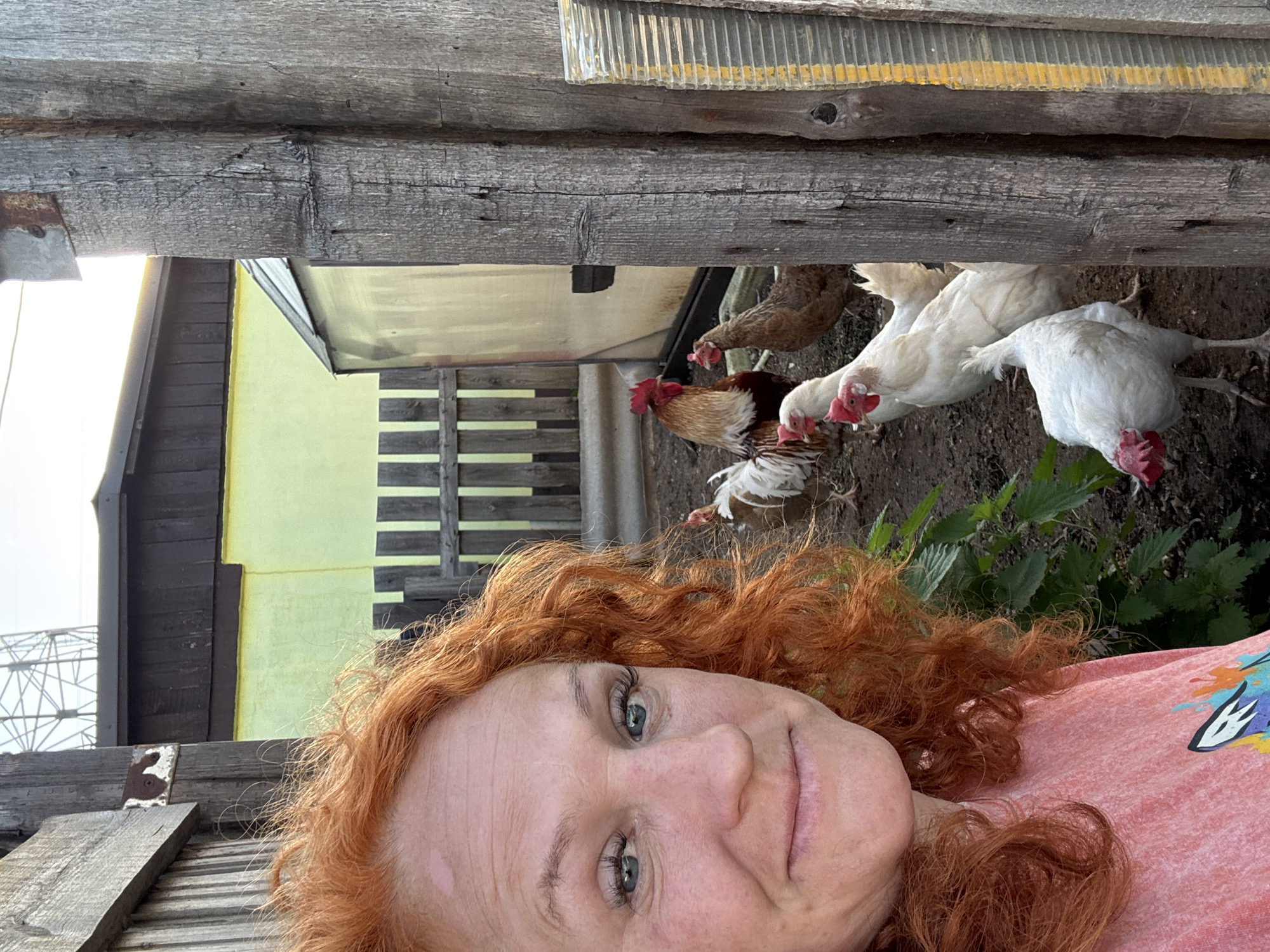 A woman with red curly hair takes a selfie. Behind her are several chickens, a rooster, and part of a yellow and brown building and a grey wooden fence. The location is likely Chaikovsky, Russia.