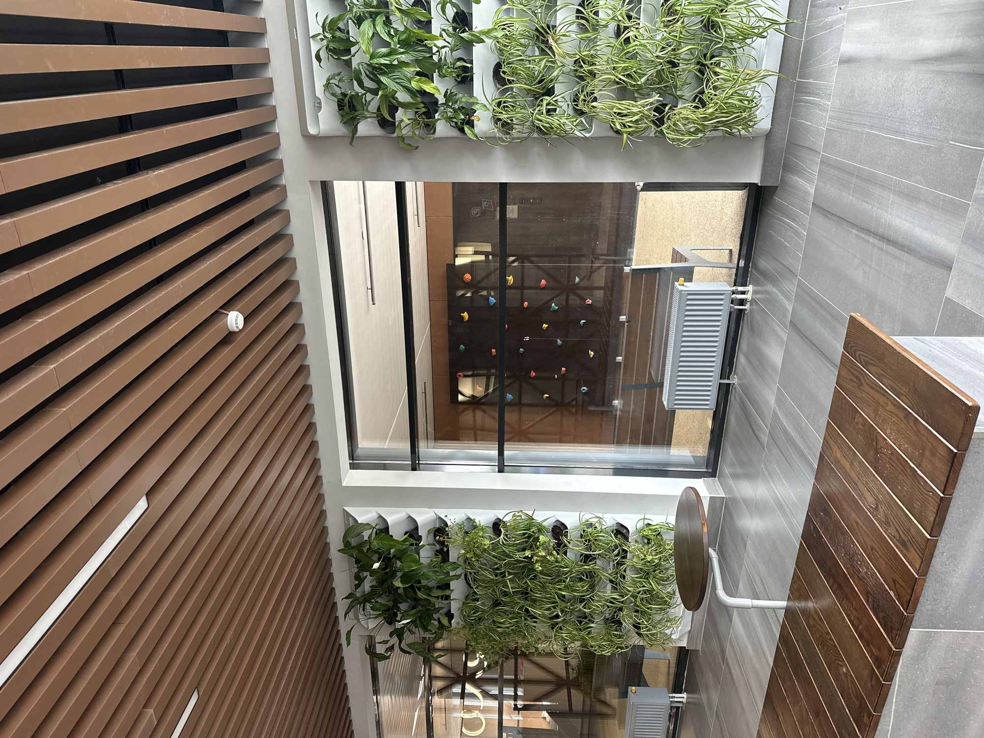 The image depicts a modern indoor space, likely a common area or lobby, featuring several prominent design elements. A suspended ceiling is composed of parallel, narrow, brown wooden slats with integrated white linear lighting fixtures. To the left and right sides of a large glass window, vertical planters are mounted on the wall, filled with lush green plants. The planter on the left contains both upright-growing plants and cascading spider plants, while the planter on the right displays similar plant types.
The glass window looks into another area with a climbing wall visible inside, adorned with colorful climbing holds against a dark background. In front of the window, a light gray radiator is present.
The floor is tiled with large, light gray tiles that have subtle veining patterns. In the foreground, a long, dark brown wooden bench with a slatted seat is positioned. To the left of the bench, a small, round, dark brown table with a minimalist white metal stand is placed.
The location is specified as being in the city of Perm, Russia. There are no people visible in the image, and no actions or interactions are depicted. The scene is static and focuses on architectural and interior design features.