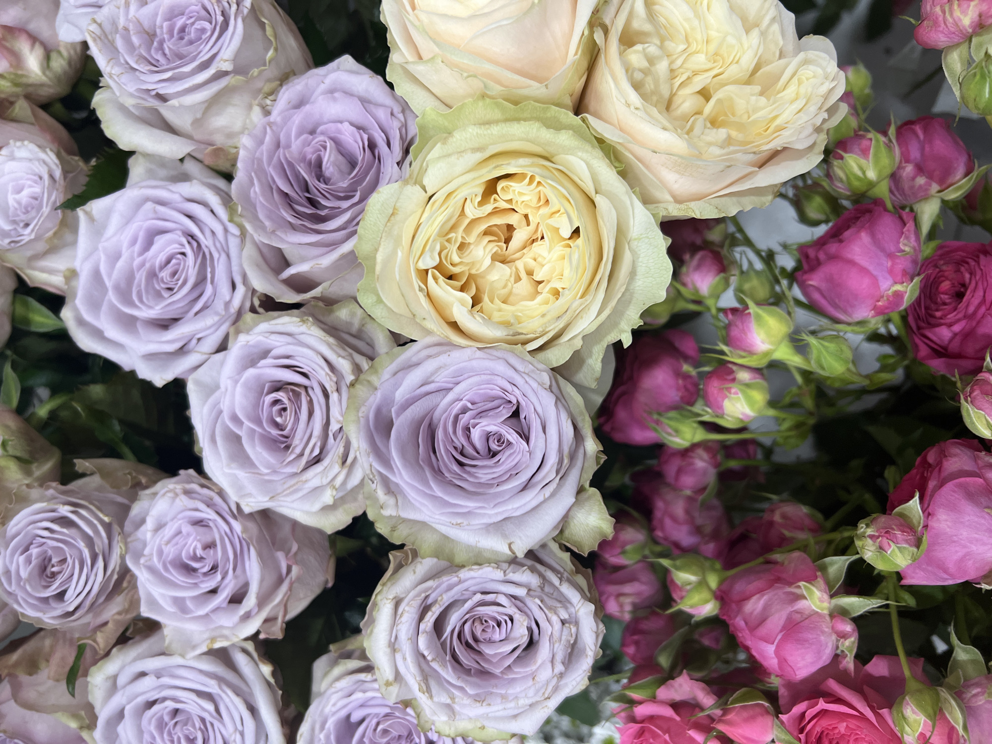A close-up, overhead, vertical shot captures a bouquet of roses in various stages of bloom. The dominant colors are shades of lavender, creamy yellow, pale peach, and vibrant pink. The lavender roses are fully open, revealing intricate petal structures and a soft, powdery hue. Nestled among them are a few creamy yellow roses, their dense, ruffled petals creating a focal point. Smaller, bright pink roses and buds are clustered at the bottom of the frame, providing a contrast in size and color. The overall impression is one of abundant, delicate beauty, suggesting a florist's display or a carefully arranged bouquet. The background is dark and out of focus, emphasizing the floral arrangement. The scene is consistent with a flower shop or a botanical garden.