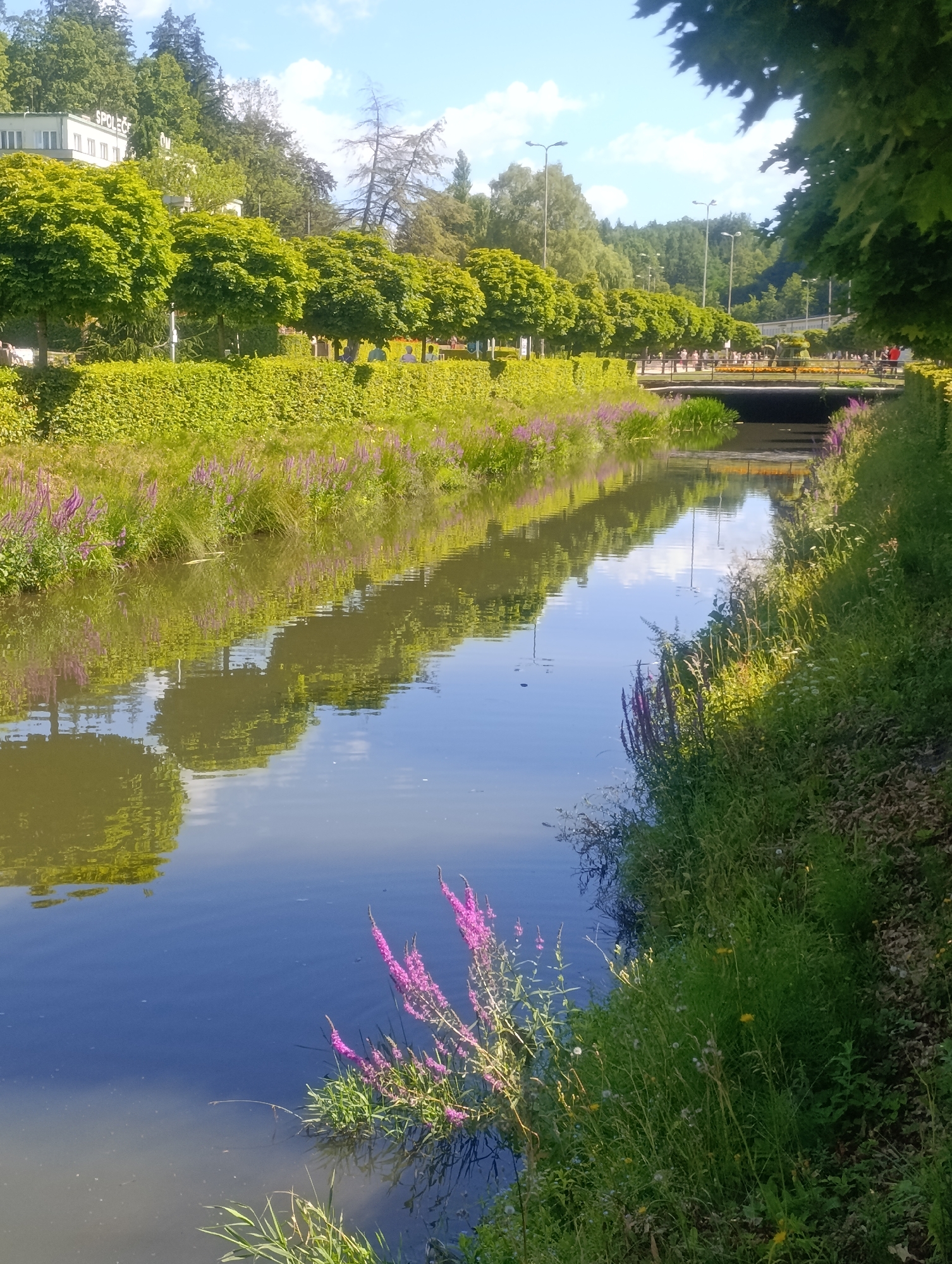 The image shows a tranquil canal in the spa town of Luhačovice, Czechia, on a clear, sunny day. The canal, with its dark blue water reflecting the blue sky and surrounding greenery, flows through a well-maintained park area. On the left bank, a meticulously trimmed green hedge forms a visual barrier, behind which are rows of evenly shaped, leafy trees. Further back, a white building with the partial word "SPOLEČ" visible on its facade is nestled amongst the trees.
The right bank of the canal is covered in lush green grass and various wildflowers, with some purple flowering plants growing along the water's edge. Sunlight casts a dappled light on this side of the canal. In the middle distance, a pedestrian bridge with a dark railing spans the canal, and several people are visible walking across it. Lampposts are spaced along the pathway on either side of the canal, suggesting it is a public thoroughfare. The overall scene evokes a sense of peace and natural beauty within an urban setting.