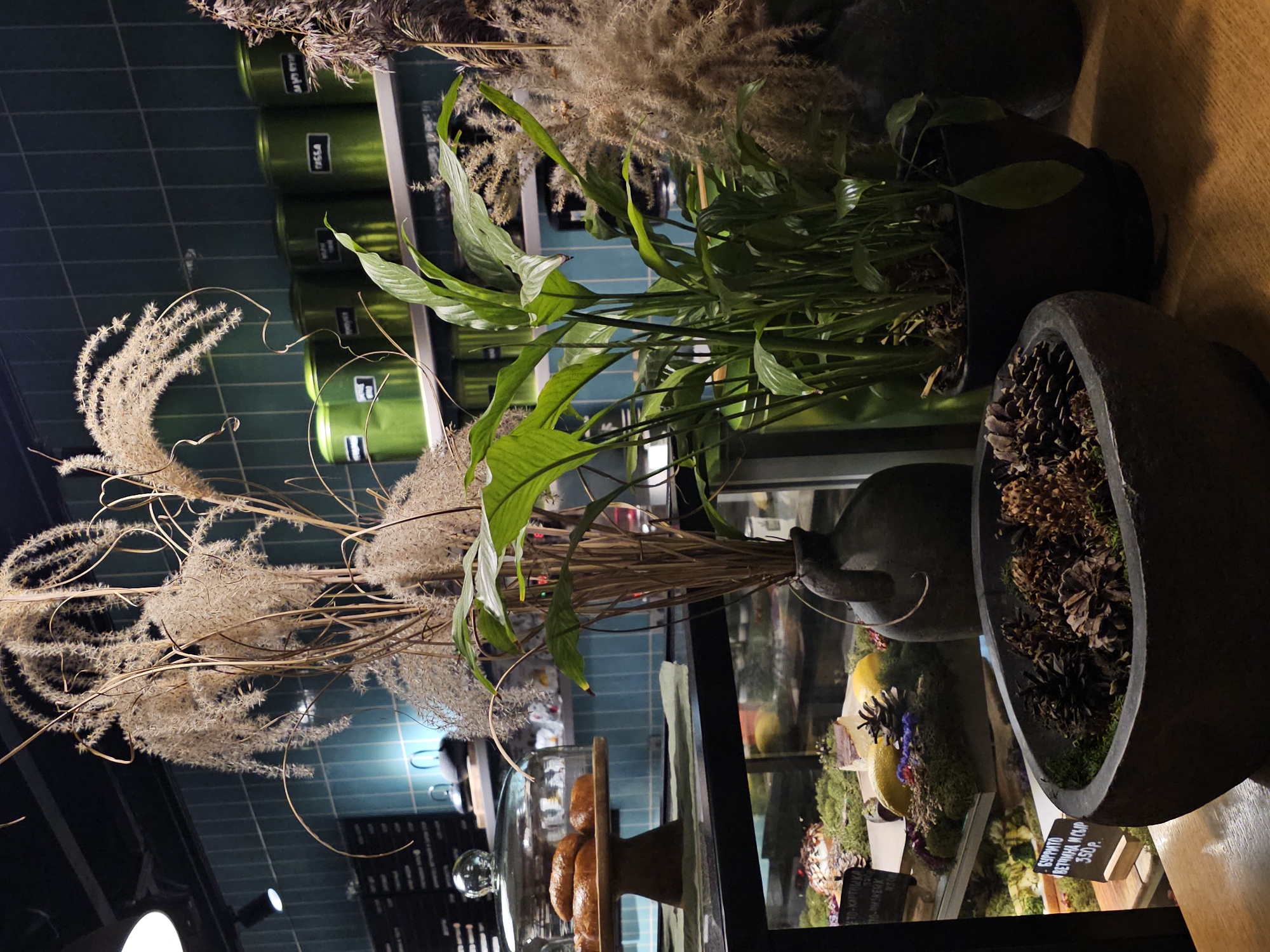 A dimly lit interior scene depicts a cafe or bakery counter. In the foreground, a rustic, dark gray, oval planter overflows with pine cones and dried moss. Behind this, a lush green plant in a black pot stands tall, its broad leaves reaching upwards. To the left, a glass display case showcases various pastries and cakes, including what appears to be a slice of cake on a mossy bed with a lemon and pine cone decoration. Another pastry, possibly a bun, sits under a glass dome on a wooden stand. In the background, shelves hold several bright green metal canisters with labels. The wall behind is tiled in a dark teal color. A large vase made of dark material holds dried grasses or reeds. The lighting is warm and atmospheric, with a spotlight visible in the upper left corner. There are no people visible in the image. The text on the label in the display case appears to be in Cyrillic and reads "СУРРИТО ВЕТЧИНА И СЫР 350р.", indicating a burrito with ham and cheese for 350 rubles. The overall impression is one of a cozy, well-decorated establishment. This scene is located in Nemchinovo, Russia.