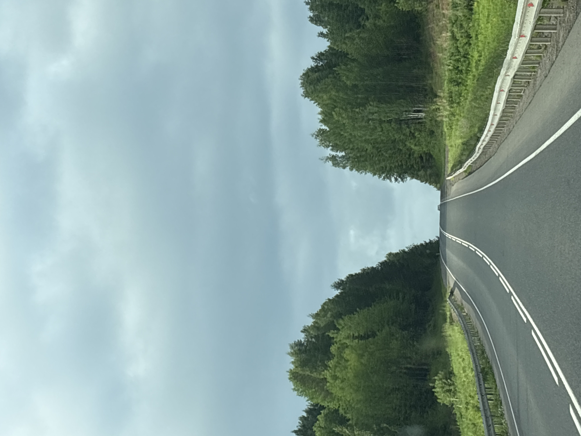 The image shows a two-lane asphalt road with white lane markings, curving uphill and disappearing over a crest. The road is bordered by a metal guardrail on the right and a grassy shoulder on the left. Dense green trees line both sides of the road, creating a tunnel-like effect. The sky is overcast with grey clouds. The image appears to be taken from a moving vehicle, as suggested by the perspective and slight motion blur. The setting is a rural or semi-rural area, possibly a highway or main road leading out of a town or city. There are no visible people or buildings in the immediate vicinity.