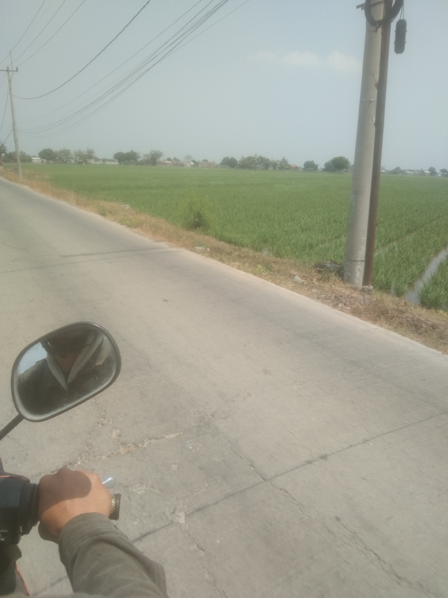 A first-person perspective shot shows a hand gripping a motorcycle handlebar, with a side mirror reflecting a person's face. The road ahead leads towards a vast green field of crops, likely rice paddies, with a few trees and buildings scattered in the distance. A utility pole stands to the right of the frame, with power lines stretching across the hazy sky. The scene is set in Desa Cilandak Lor, Indonesia, under a bright, overcast sky, suggesting a rural, agricultural environment. The road appears to be made of concrete with visible cracks and joints.