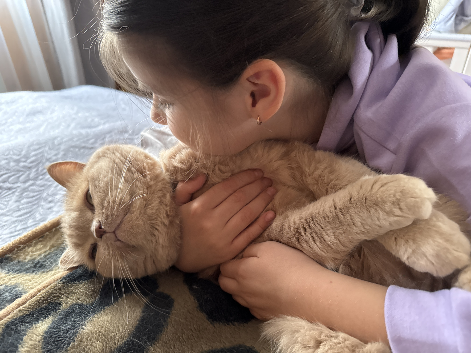 A young girl with dark hair is embracing a ginger cat, resting her head against its fluffy fur. The cat is lying on a patterned blanket, with its head tilted slightly upwards. The girl is wearing a purple hoodie. The scene appears to be indoors, possibly on a bed, with soft lighting.