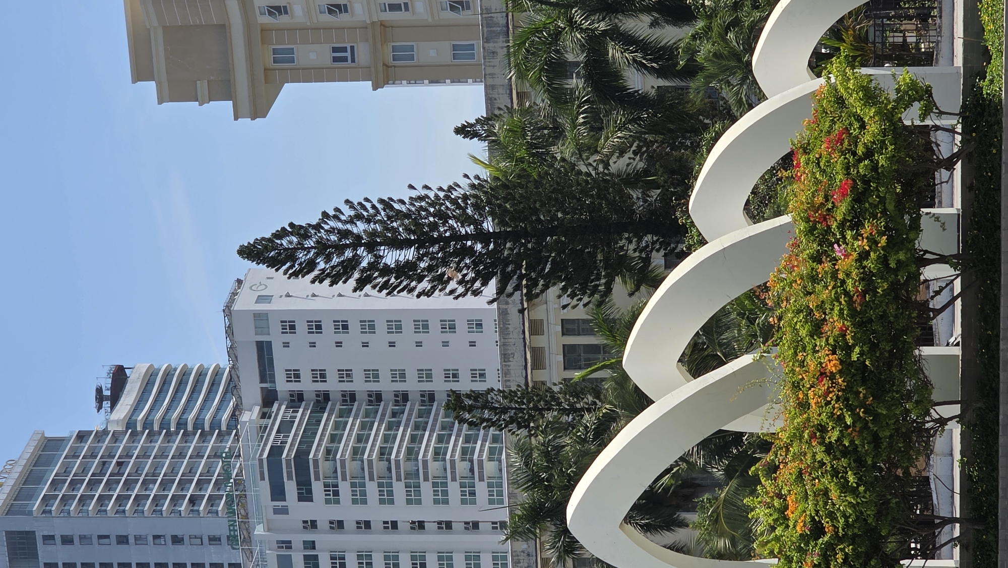 The image depicts a low-angle view of buildings in Nha Trang Ward, Vietnam. Dominating the left side of the image are several tall, modern hotels with a repeating pattern of windows and balconies. A tall evergreen tree stands in front of the buildings. To the right of the tree is a multi-story building with regular rows of windows. In the foreground are white, curved architectural elements, partially covered with lush green plants and a variety of red and orange flowers. Palm trees and other greenery are interspersed throughout the scene, contributing to a tropical environment. The sky is clear and blue.