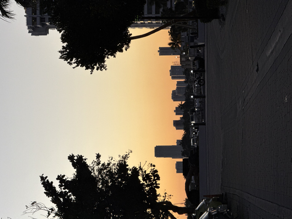 A vertical image shows a city skyline during a colorful sunset. Silhouetted buildings contrast against the orange and yellow sky. Trees frame the view, adding depth. A paved walkway runs along the right side, with parked cars and lampposts visible. The image is darker on the right, highlighting the city lights and sunset colors.