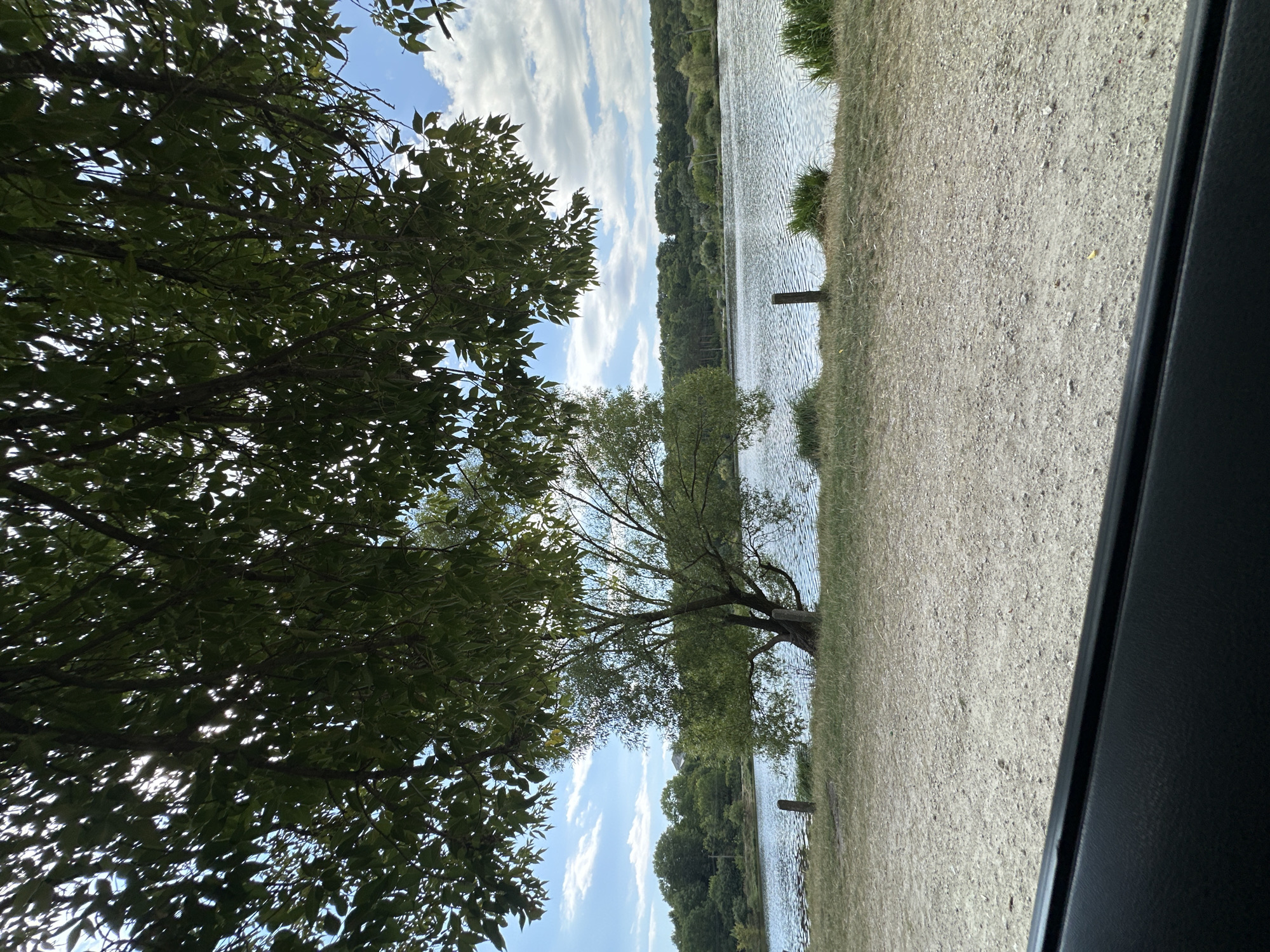 The image depicts a tranquil natural scene with a body of water, likely a lake or river, in the foreground. The water's surface is rippled, suggesting a gentle breeze. Along the shoreline, there is a strip of sandy ground, followed by green grass and several sparse wooden posts. Dominating the left side of the frame is a large tree with lush green foliage, its branches extending over the water and partially obscuring the sky. In the distance, a dense line of trees forms a natural horizon. The sky is a mixture of blue with scattered white clouds. The lower portion of the image is framed by the dark interior of a vehicle, with a black car door visible. There are no people or animals present in the scene. The location is identified as Makiv, Ukraine.
