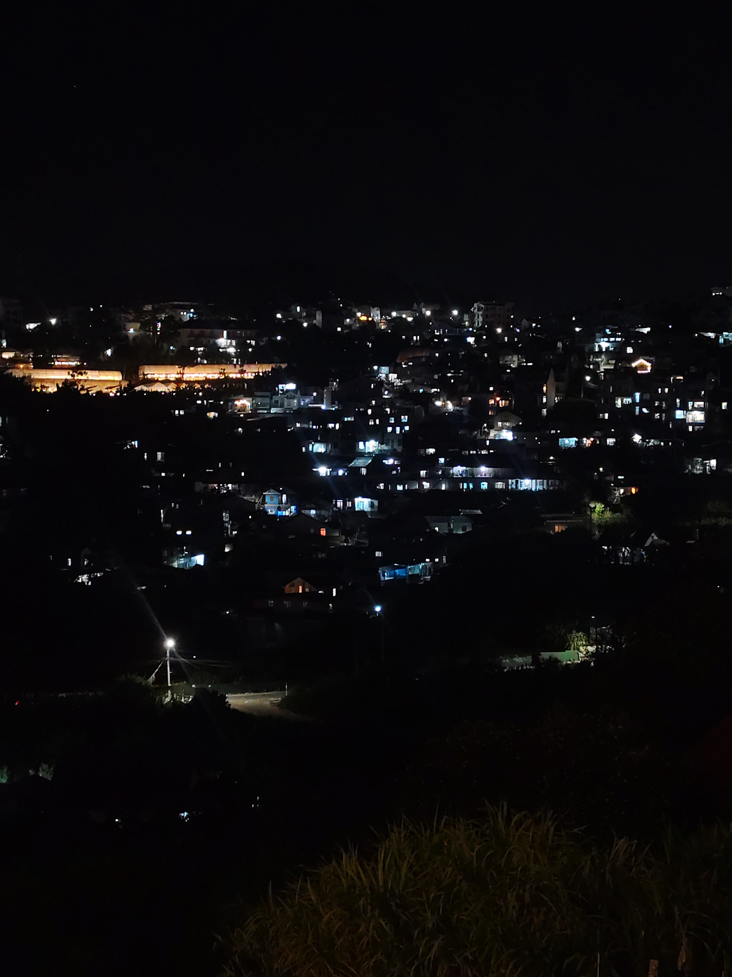 This is a nighttime aerial view of the city of Da Lat, Vietnam, likely taken from a vantage point overlooking the city. The scene is dominated by darkness, punctuated by the lights of numerous buildings scattered across hillsides. The lights vary in color and intensity, with some appearing as small, bright points and others illuminating entire structures or streets.
In the foreground, dark foliage, possibly tall grass or reeds, occupies the bottom portion of the image, creating a silhouette against the illuminated city. A single street lamp with a bright, conical light beam is visible in the lower left quadrant, casting light onto a dark, possibly paved, area. Further into the city, the lights suggest a dense urban environment with residential and commercial buildings. Some areas show clusters of lights indicating higher density development, while others are more sparsely lit. There is no visible sign of people or specific actions taking place. The overall impression is a peaceful, illuminated urban landscape against a dark night sky.