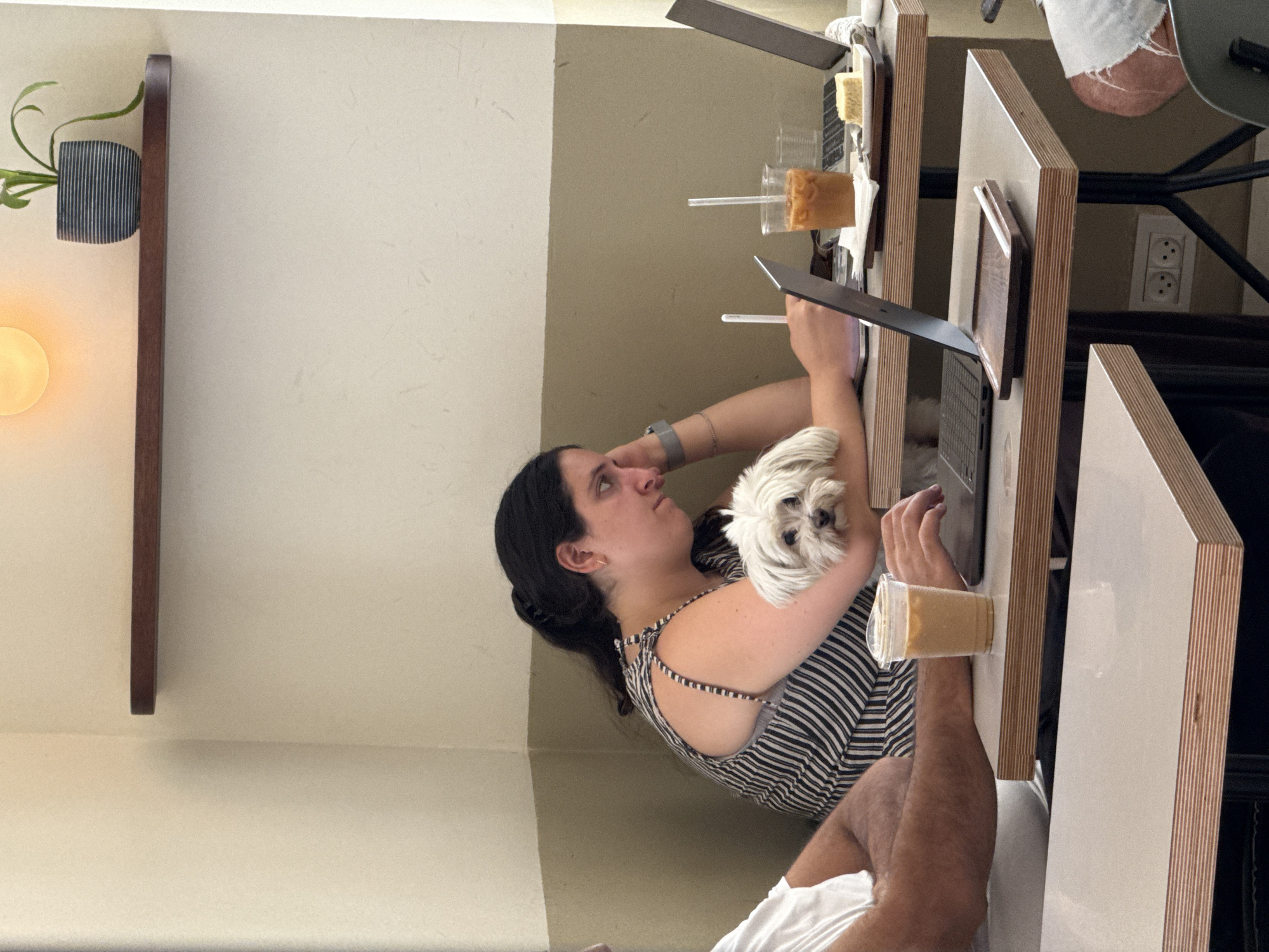 The image depicts a woman sitting at a table in a café, working on a laptop with a small white dog resting on her arm. She is wearing a striped top and has her hand on her head. In front of her, there is a coffee drink, a slice of cake, and another laptop. To her left, a man's arm is visible, wearing a white t-shirt. Another table with a coffee drink and a laptop is present in the background. The café interior features a shelf with a plant and a light fixture, and the walls are painted in light colors. The overall scene suggests a casual work or study environment.
