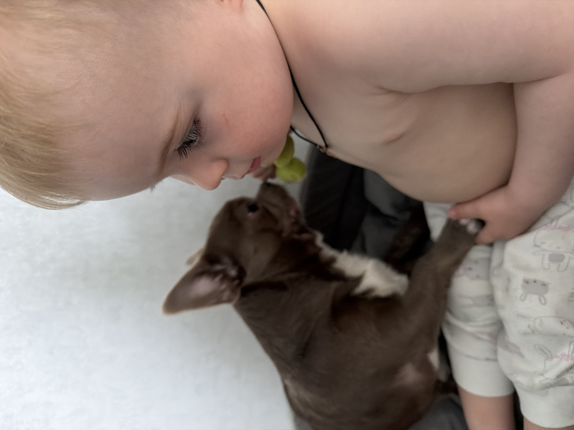 A close-up shot depicts a fair-skinned baby with blond hair interacting with a brown and white puppy. The baby, with visible eyelashes, seems to be holding a small, green object near their mouth, potentially feeding or teasing the puppy. The puppy is reaching up towards the baby. The baby is wearing a black necklace and pajamas. No information is available that can be used to identify the location.