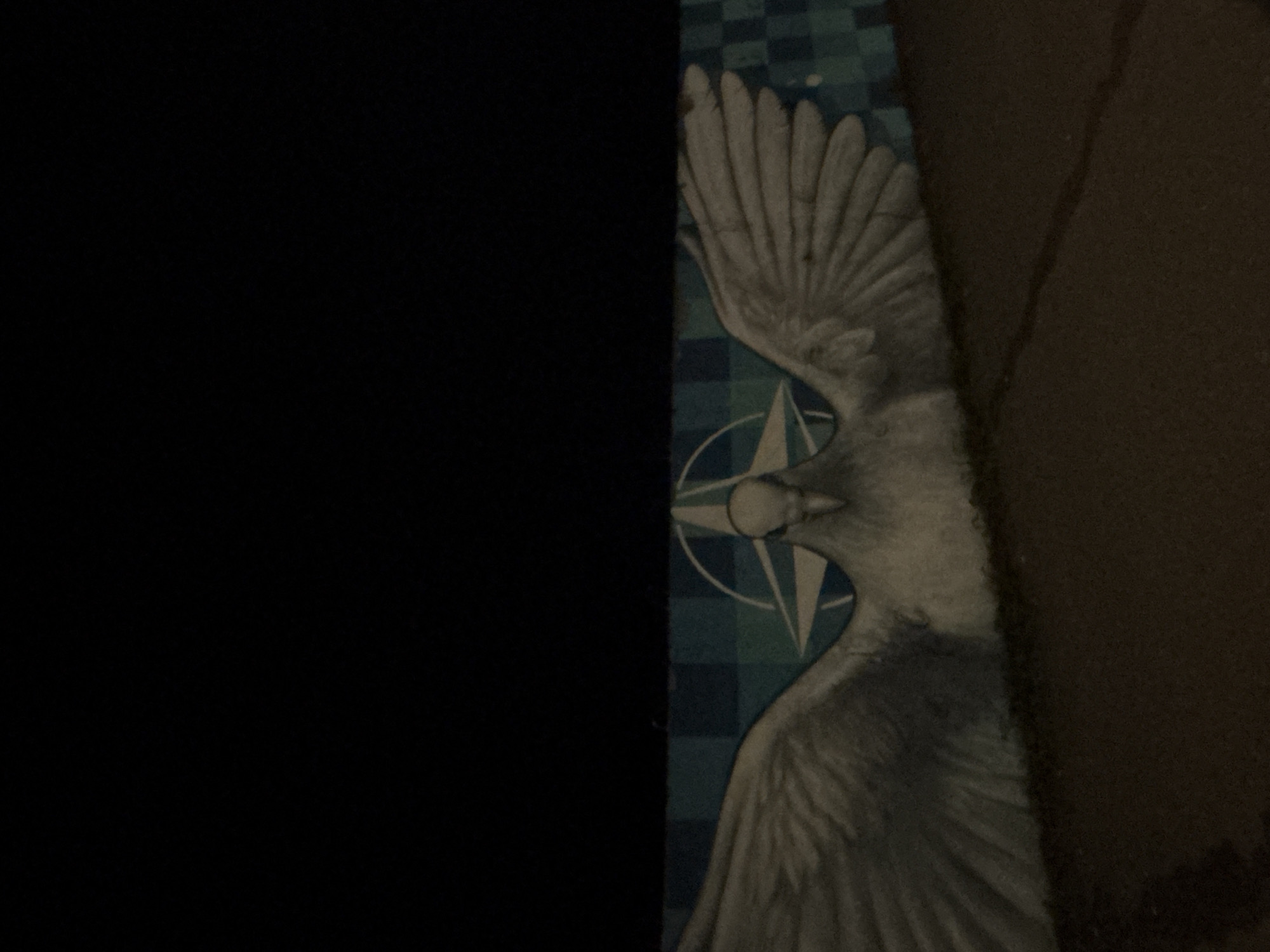 The image shows a partial view of a pillowcase with a design of a dove over a NATO star, positioned between a dark-colored object (possibly fabric or clothing) on the left and a similar dark-colored object on the right. There are no identifiable people, actions, or interactions present in the portion of the image provided. The environmental information regarding Burgas, Bulgaria is not evident within the visual frame.