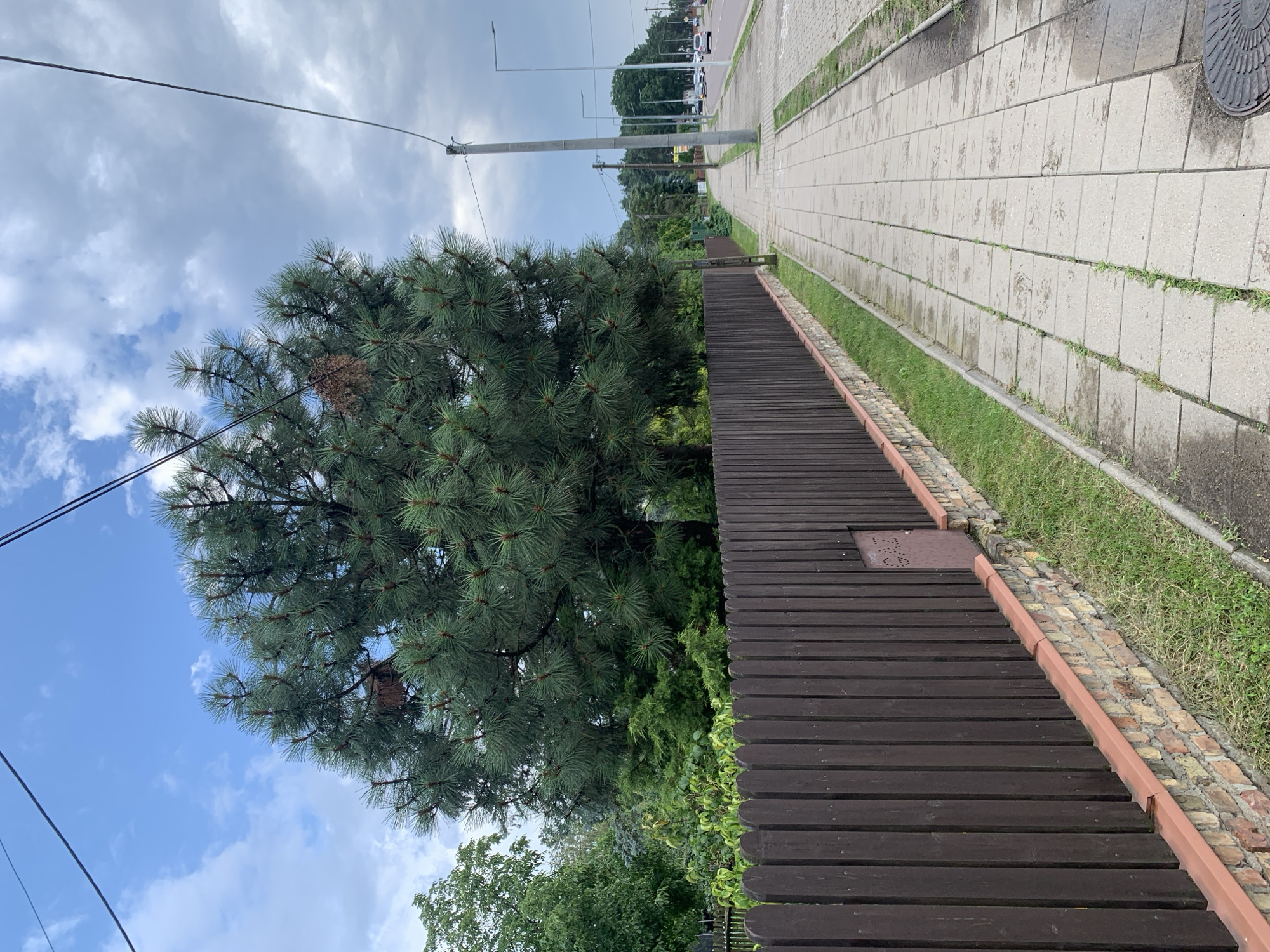 The image depicts a residential street scene in Białystok, Poland, on a cloudy day. A dark brown wooden picket fence runs along the left side of the frame, bordered by a brick foundation and a strip of grass. Behind the fence, a large pine tree with dense green needles dominates the upper left portion of the image. To the right of the fence is a paved sidewalk made of concrete tiles, with grass growing in the cracks. Beyond the sidewalk, a two-lane road is visible with several cars and streetlights lining the opposite side. The sky is partly cloudy with patches of blue. There are no people visible in the frame. A small, brown metal utility box is mounted on the fence, marked with the Cyrillic letter "Г" (G).