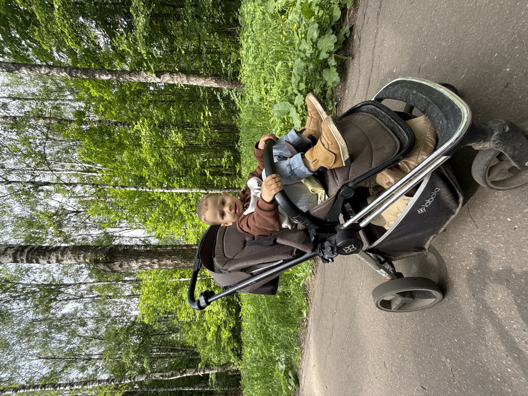 A toddler sits in a black and brown stroller on a paved path in a park-like setting in Rusanovo, Russia. The child, wearing brown shoes, jeans, and a brown sweatshirt, holds the stroller's handlebar. The stroller is positioned between a green wooded area with birch trees on the left and a patch of green plants on the right. The paved path appears to be slightly cracked.