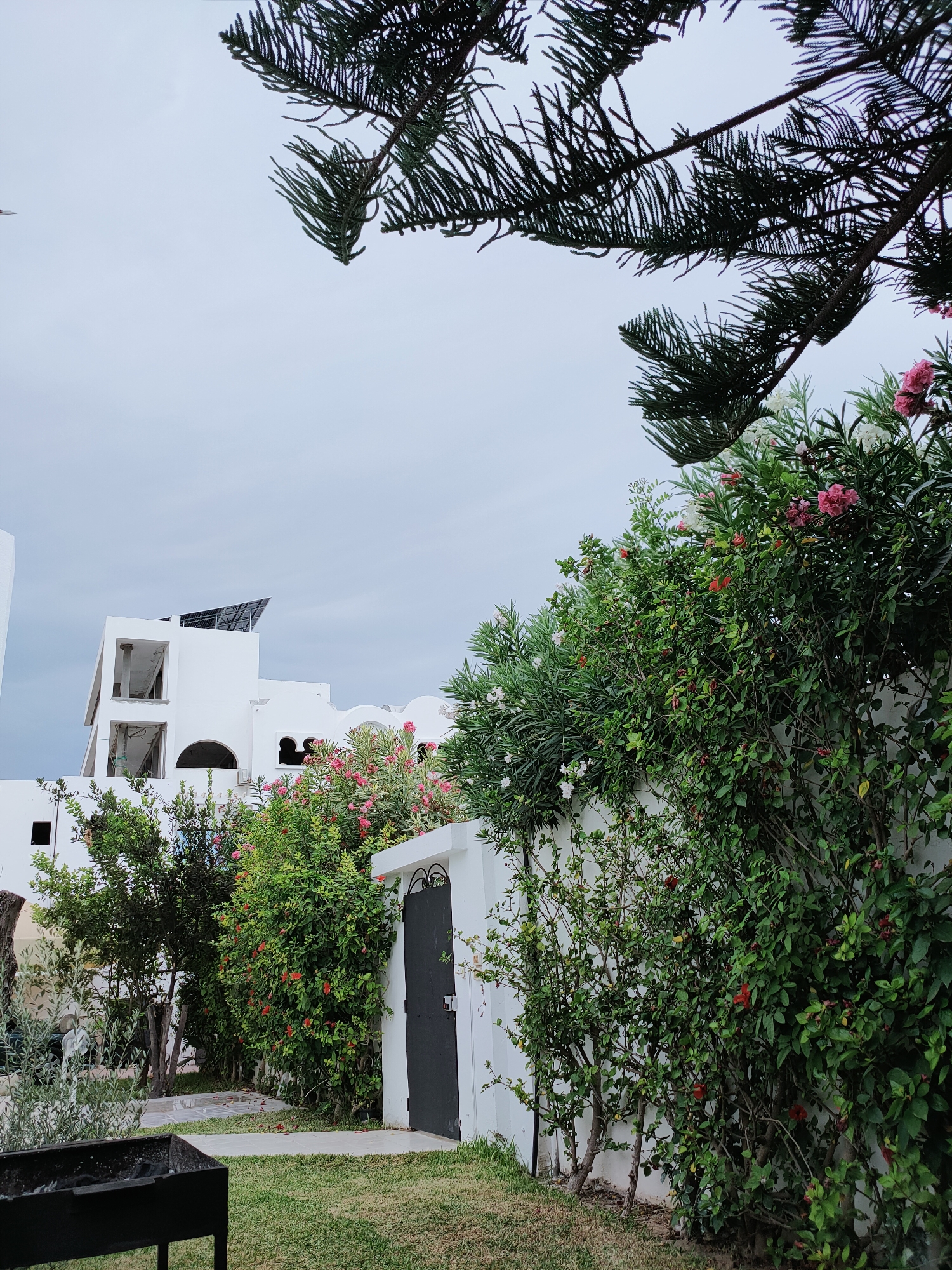 In Mrezga, Tunisia, this image captures a garden area adjacent to a white building. A dark metal grill sits on the grass in the foreground. A white wall runs horizontally across the midground, topped with dense green foliage and flowering bushes with pink and red blooms. To the left of the wall is a black metal gate. Behind the wall, a white, multi-story building with an unfinished upper level is visible, featuring solar panels on its roof. The sky is overcast. A large pine tree branch extends into the upper left portion of the frame.