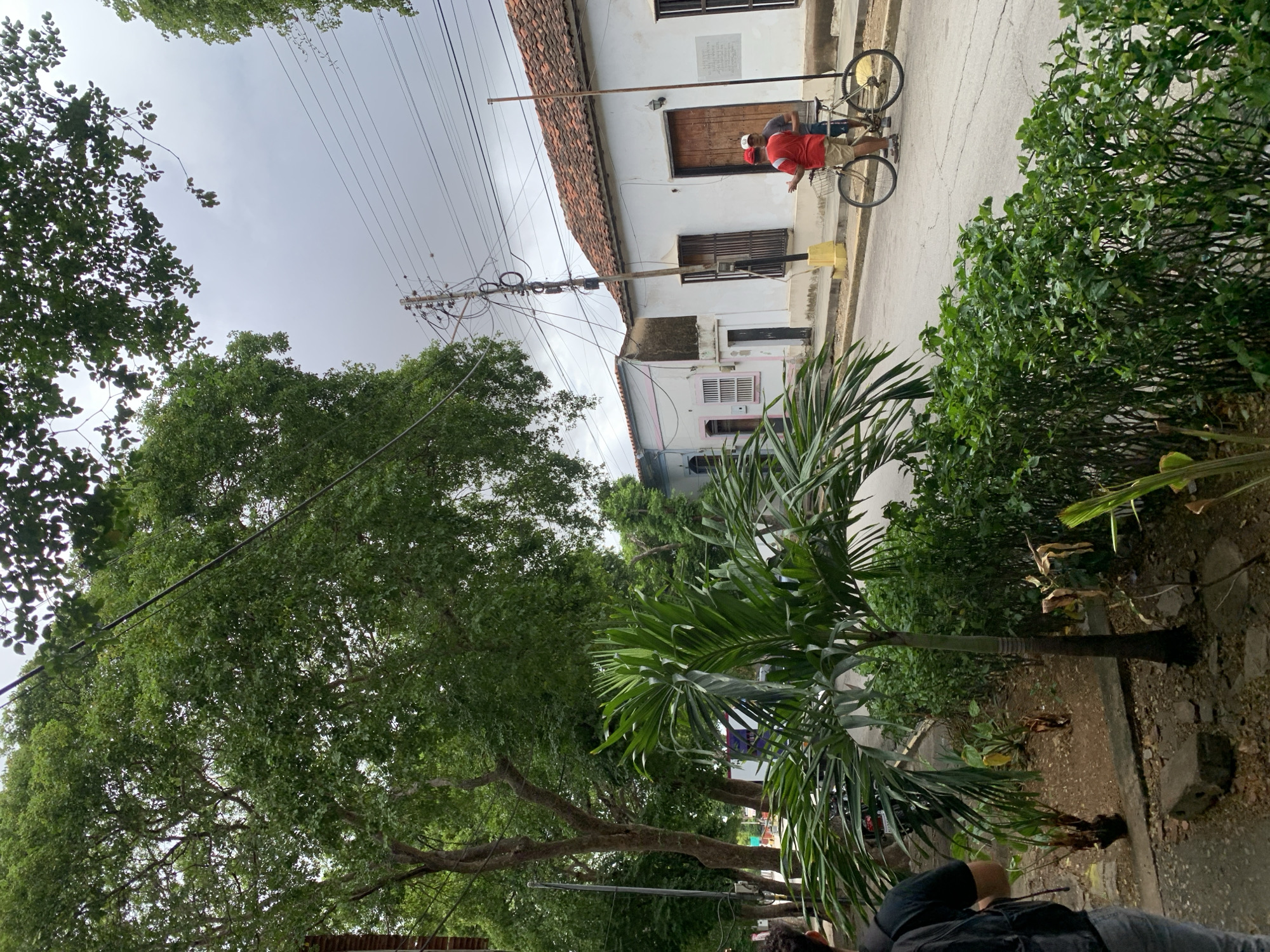 This outdoor image captures a vibrant street scene in Santa Ana, Venezuela. The scene is dominated by a clear, overcast sky and lush greenery.
In the mid-ground, a person wearing a red shirt, light-colored shorts, and a red cap stands next to a bicycle with yellow rims and a front basket. This individual appears to be interacting with another person, largely obscured, standing closer to a white building. A third person, seen partially in the bottom right, wears a black shirt and faces away from the camera.
The setting features traditional architecture, with white, single-story buildings featuring brown tiled roofs and dark wooden doors and windows. A prominent wooden utility pole, laden with numerous wires and transformers, stands near the buildings, indicating typical urban infrastructure.
Abundant vegetation lines the street. Large, dense-leaved trees form a canopy overhead, providing shade, while palm trees and various green shrubs are visible along the sidewalks and in the foreground. The street itself is paved, and a concrete sidewalk runs alongside the buildings.
The activity depicted is a casual, everyday street interaction, possibly a conversation or a brief stop. The time of day appears to be daytime under an overcast sky, suggesting mild weather without direct sunlight. There is a plaque on the wall of the building above the main door, but its text is not legible. The overall atmosphere is calm and residential.