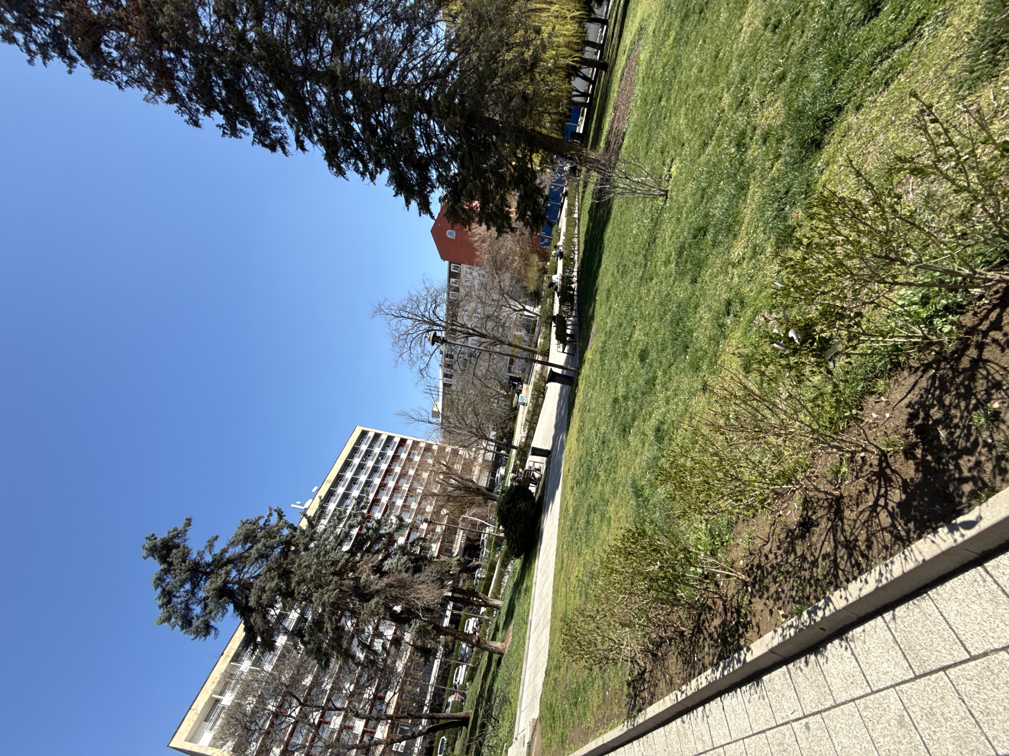 The image captures a park scene in Sofia, Bulgaria, under a clear blue sky. A multi-story building with repetitive windows and red accents can be seen to the left. Two pine trees are visible in the left and upper left of the image. A red brick building is visible in the distance. A paved pathway winds through the park, alongside green lawns and shrubbery. A low concrete wall borders the park area closest to the viewer, with a tiled surface below it. The shot is taken from a low angle, looking upwards. The scene is outdoors, during daylight hours. No people are clearly visible.