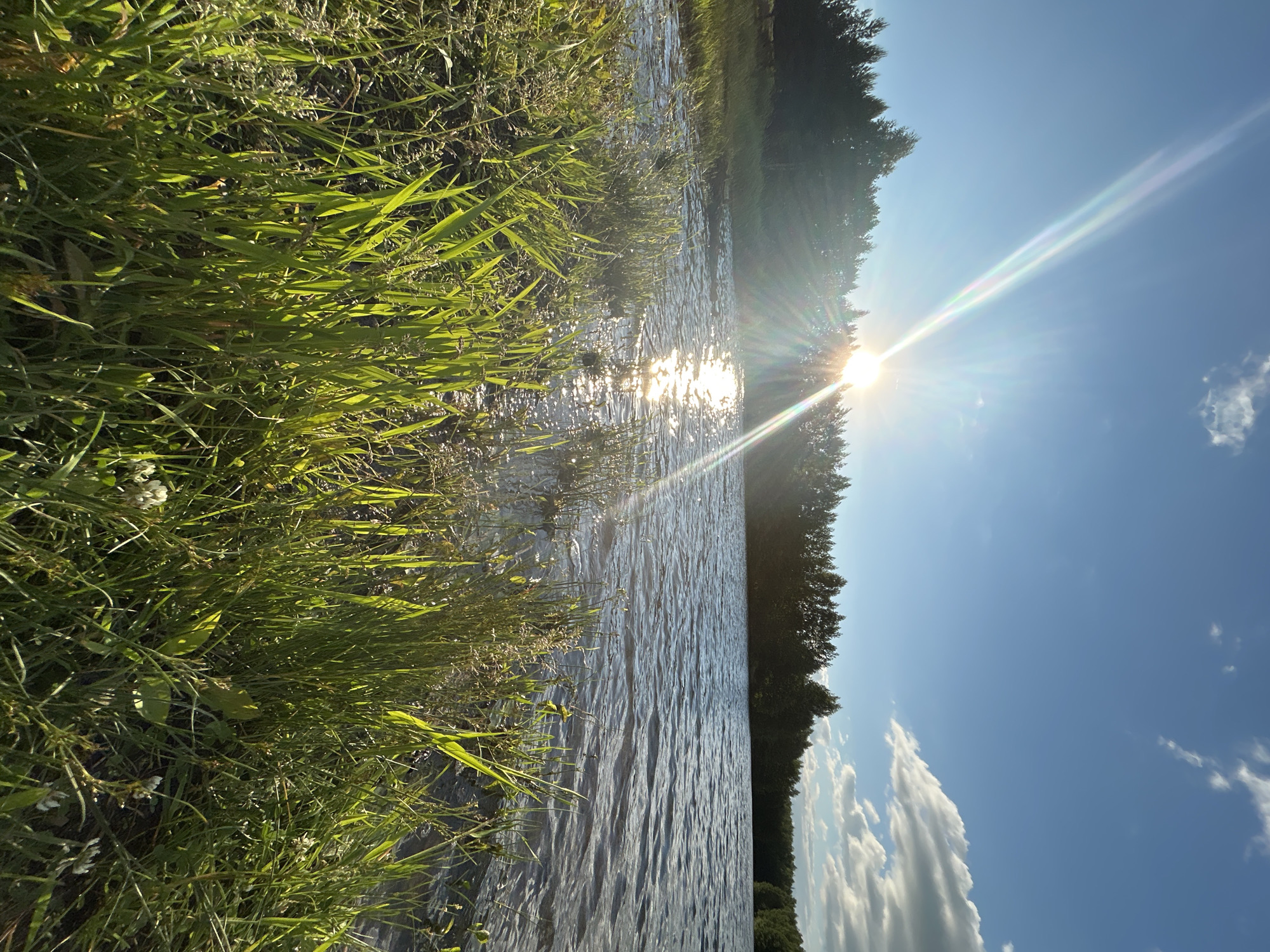 A wide, low-angle shot captures a serene lake scene at dusk, with the sun setting behind a dense line of trees. The sun, a bright orb, casts a strong lens flare diagonally across the sky, creating a rainbow effect. The lake's surface is rippled, reflecting the sunlight. In the foreground, lush green grass and some small white wildflowers grow along the bank. The sky is a clear blue with a few scattered white clouds. The location is identified as the Chernushka River in Chernushka, Russia.