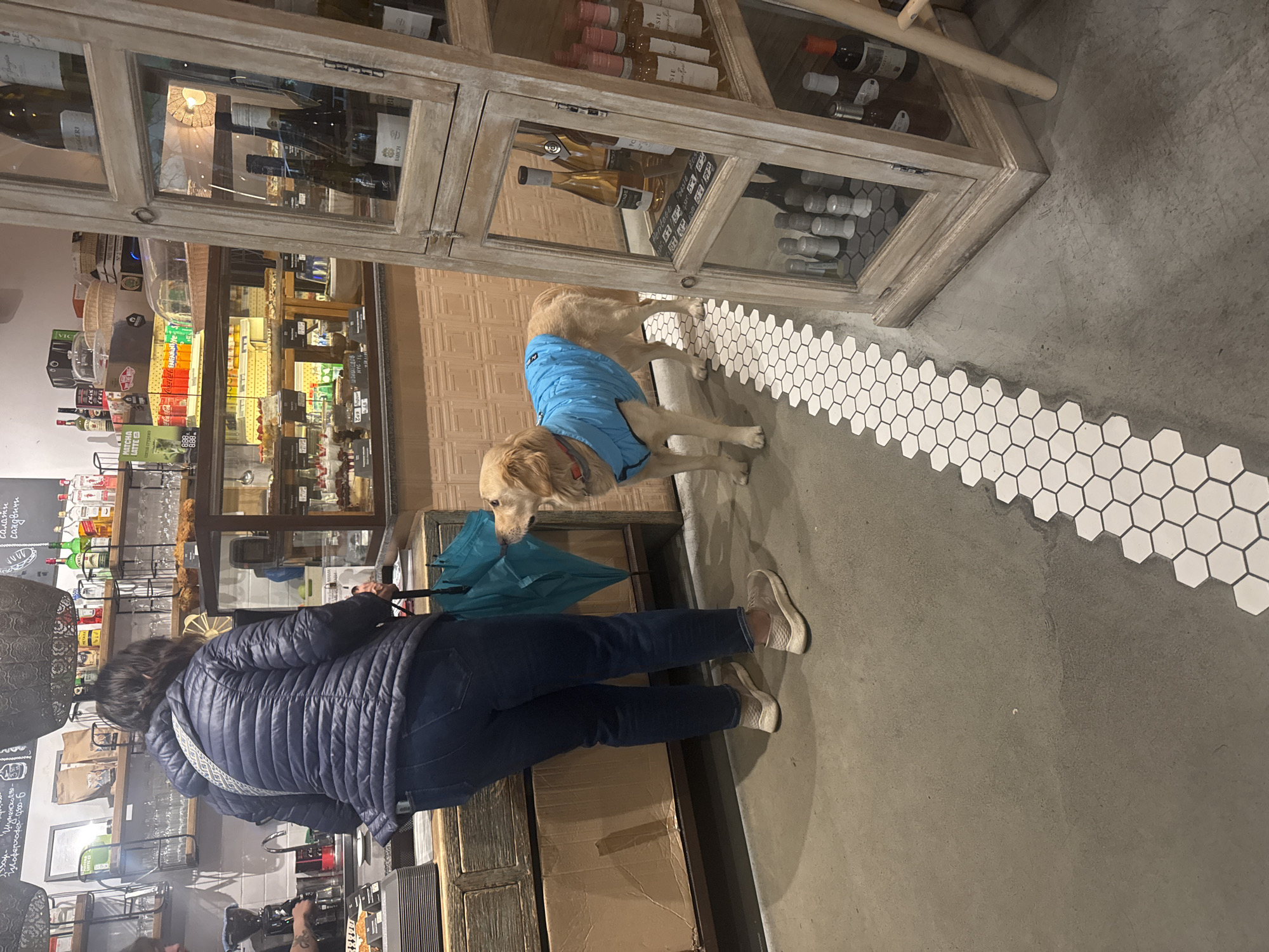 The image depicts the interior of a shop in Sofia, Bulgaria. A woman stands near a counter, facing various shelves of goods. She wears a blue puffy jacket, jeans, and light-colored shoes, carrying a teal umbrella. A golden retriever wearing a blue jacket stands near her, close to a large wooden display cabinet filled with wine and other items. The floor is concrete with a decorative hexagonal tile border. Shelves of various products, including beverages and packaged goods, are visible behind the counter. A chalkboard with Cyrillic writing hangs on the wall.