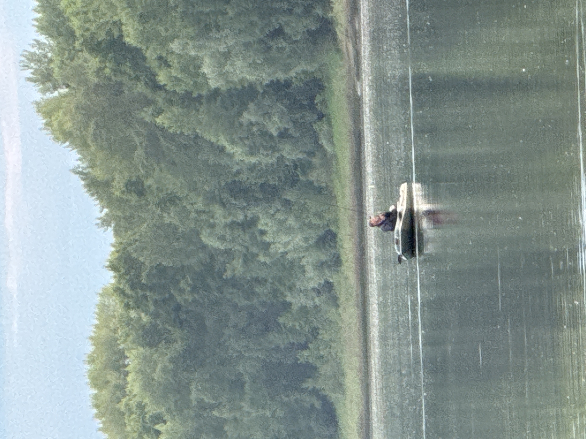 A lone individual is seated in a small inflatable boat on a body of water, facing towards the left side of the frame. The person appears to be fishing, holding a rod. The boat is positioned in the middle ground of the image. Behind the water, a dense line of green trees forms a backdrop, with a light blue sky visible above. The scene is set along the Kama River in Chaikovsky, Russia.