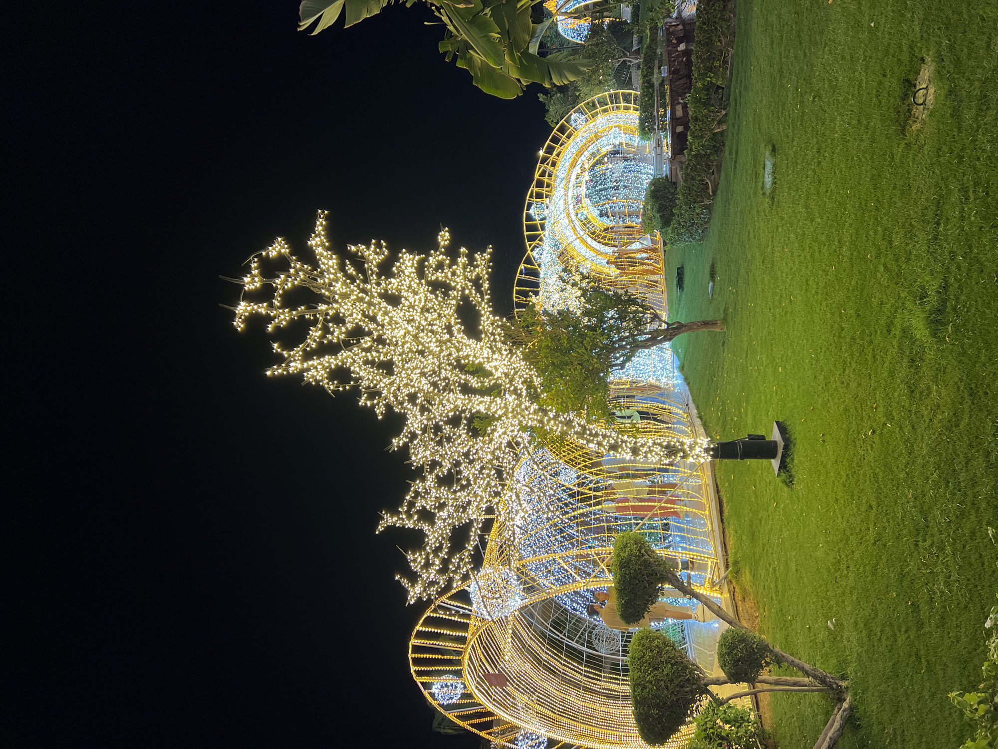 The image depicts a nighttime scene at Soho Square in Sharm El Sheikh, Egypt, featuring elaborate light decorations. In the foreground, a lush green lawn is illuminated, with two sculpted bushes on the left. A tree wrapped in warm-toned fairy lights stands prominently in the mid-ground. Behind this, several large, illuminated archways are visible. These arches are decorated with a combination of warm yellow and cool blue lights, creating a festive and captivating atmosphere. The arches appear to form tunnels or walkways, and several people can be seen walking within them, outlined by the bright lights. The background is dark, suggesting it is nighttime, with the lights of the decorations being the primary source of illumination. The overall impression is one of a well-lit, celebratory outdoor public space.