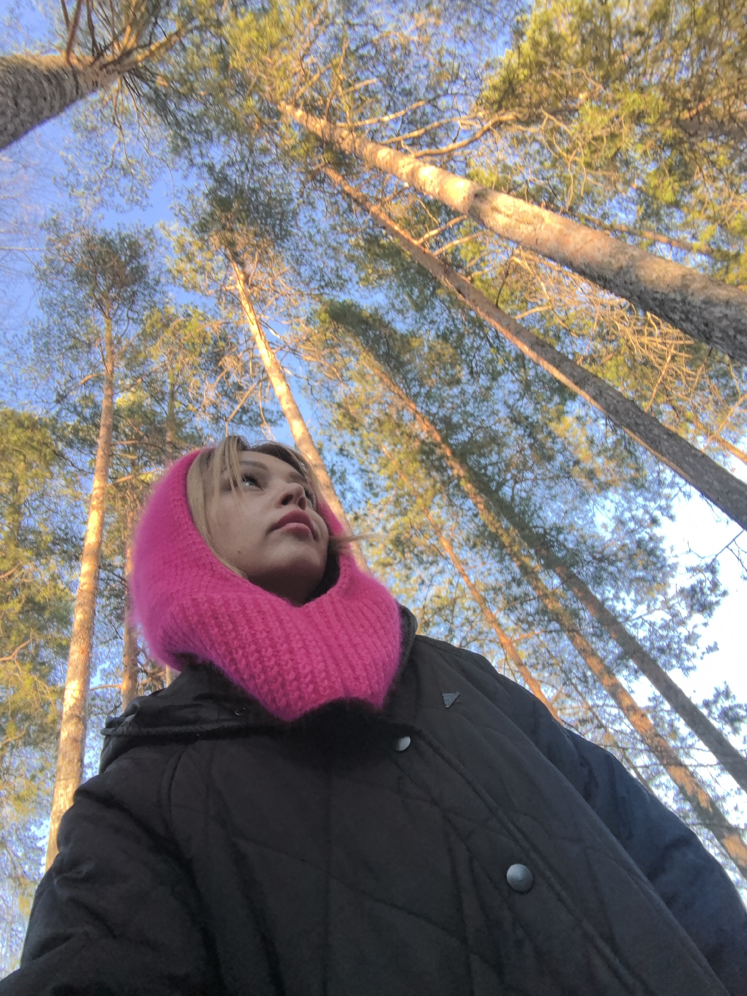A low-angle shot shows a person wearing a black quilted jacket and a bright pink knitted hood, likely in Noviy, Russia, given the context. The person is looking upwards and slightly to the right. The background consists of tall, thin trees, likely pines, reaching up towards a blue sky with scattered clouds. The sunlight filters through the trees, creating a dappled effect. The trees suggest a forest or park setting. The person is in the foreground, appearing relatively small compared to the towering trees. The focus is sharp on the person and the immediate surroundings, with the background slightly blurred.