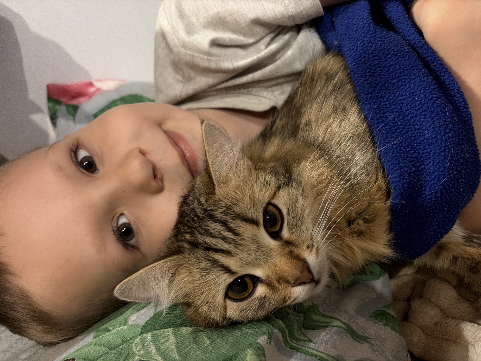 An overhead shot captures a young child and a domestic cat resting closely together indoors. The child, with light skin, dark eyes, and short hair, lies on their back on a patterned pillow, looking directly at the camera with a gentle, soft smile. Their left arm is partly visible, wrapped around the cat, and partially covered by a textured blue fabric that appears to be a blanket or towel.
The cat, a tabby breed with brown, black, and tan striped fur, is nestled against the child, with its head also facing the camera. It has large, round, attentive yellow-green eyes and prominent white whiskers. Its ear is visible just above the child's lips. The blue fabric covers part of the cat's body and extends towards the upper right of the frame, hinting at a snug embrace.
Below the child and cat, a pillow or bedding with a green and white abstract or leafy pattern is visible. The background above the child's head shows a plain white surface, possibly a wall. The lighting is soft and even, suggesting an indoor setting. The scene conveys a warm, affectionate, and peaceful moment between the child and their pet. No visible text is present.