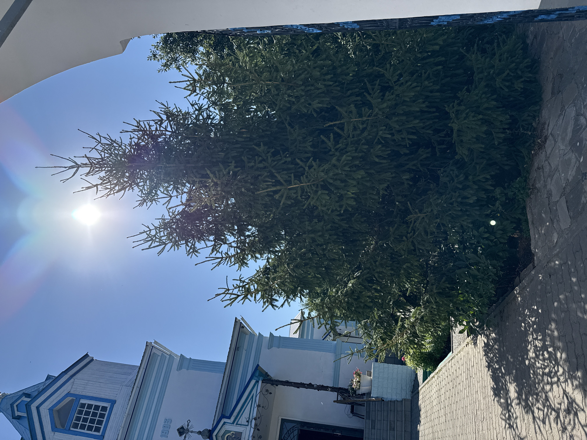 In Sol-Iletsk, Russia, a white church with blue trim is visible on a sunny day. The church has a prominent steeple with a cross, and the year "1903" is inscribed on its facade. A paved walkway leads up to the entrance of the church, which is flanked by stairs. Lush green trees, including a tall spruce tree, stand in front of the church, partially obscuring it. The sun is bright, casting shadows on the walkway.
