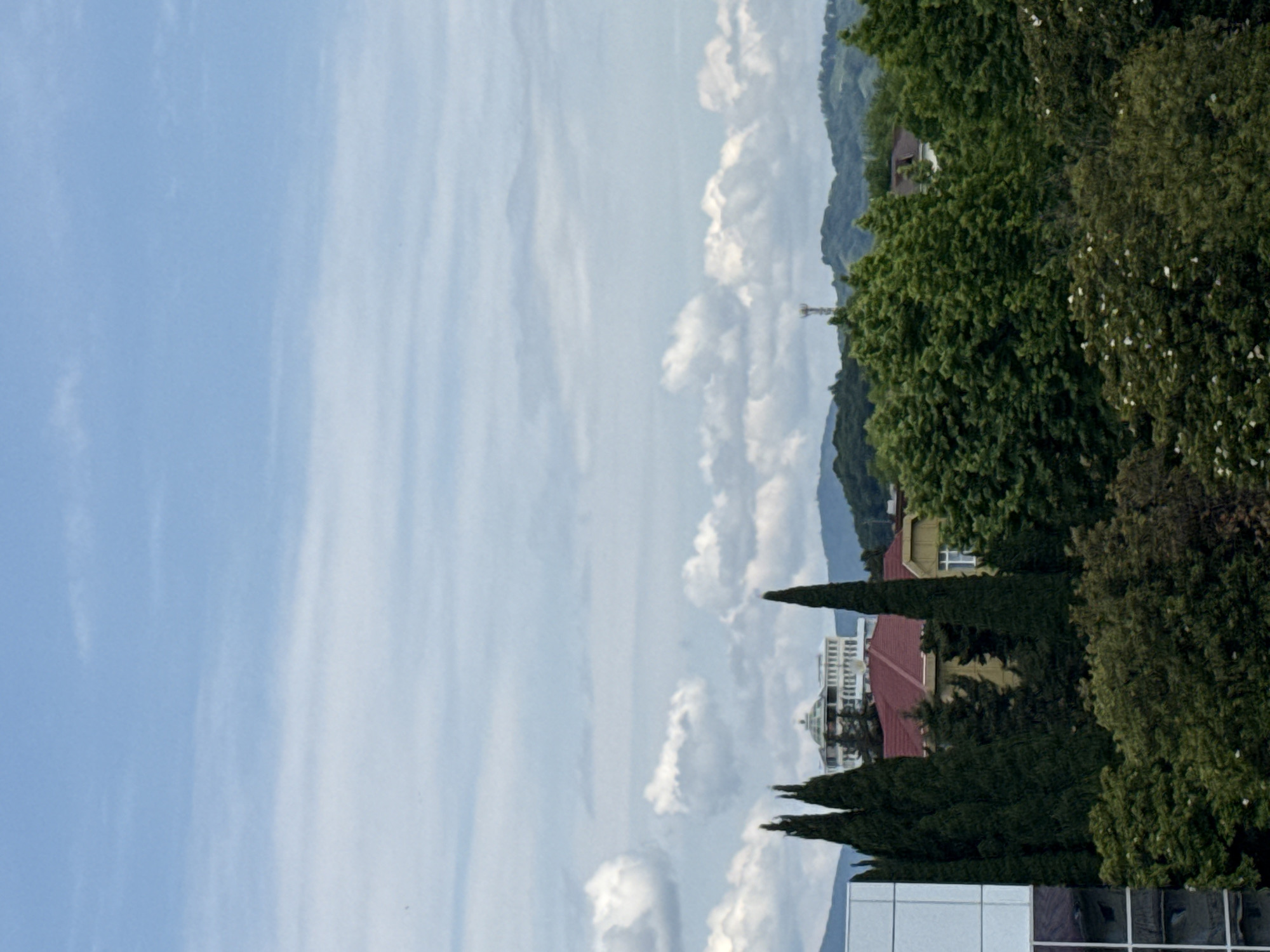 The image shows a panoramic view of a city with buildings and lush green trees under a partially cloudy sky. In the foreground, there are dense trees with some white flowers, suggesting it might be spring or summer. Behind the trees, a few cypress trees stand tall and slender. Further back, there's a prominent white building with a dome on top, and other buildings with red and yellow roofs. In the distance, rolling hills covered in greenery are visible, with a communication tower on one of them. The overall scene depicts a developed urban area integrated with nature. This scene is consistent with the views found in Sochi, Russia, a city known for its picturesque landscapes where urban development meets natural beauty, particularly along its coast and in its surrounding hills.